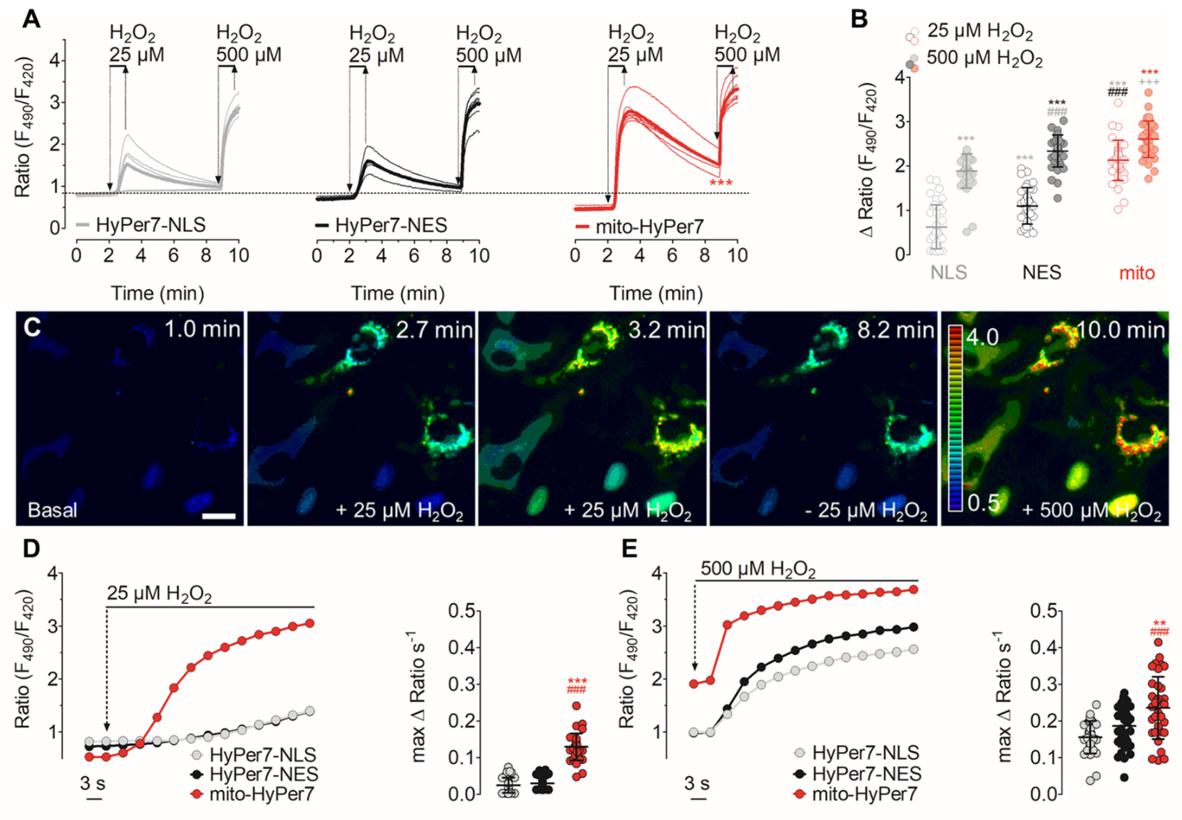 Biosensors 11 00338 g003