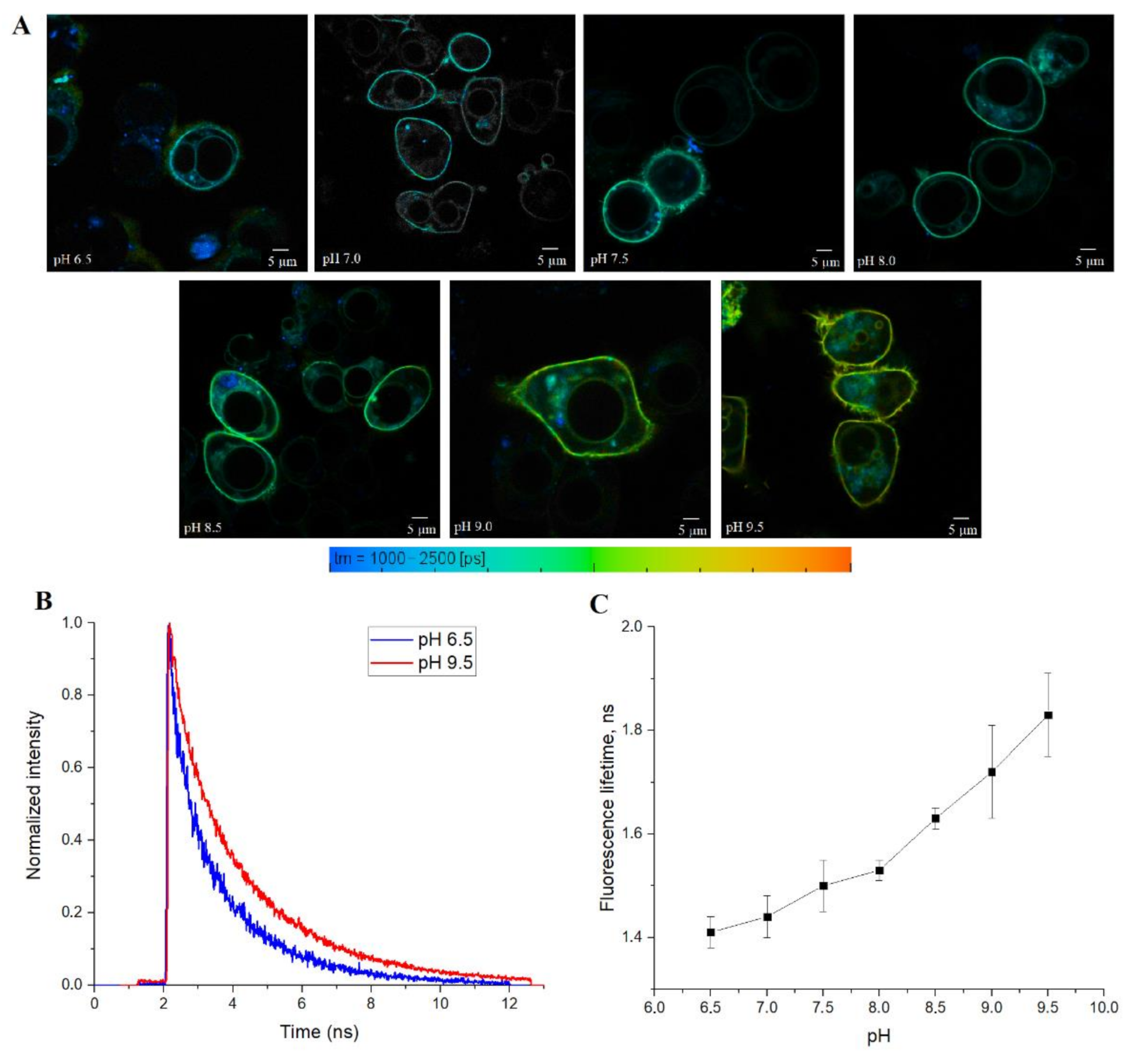 Biosensors 11 00340 g005
