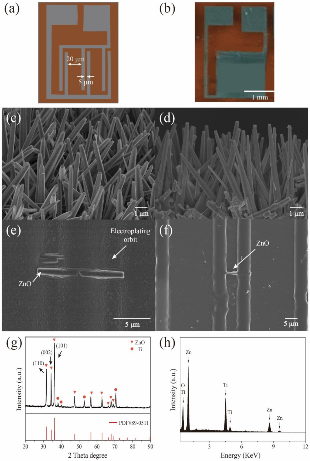 Biosensors 11 00342 g001 550