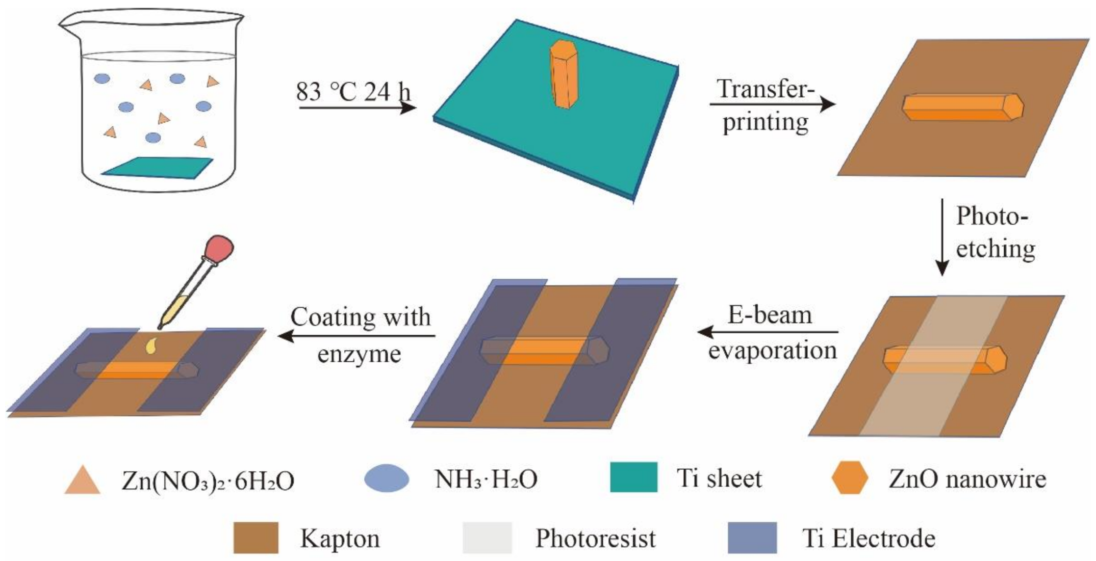Biosensors 11 00342 g002 550