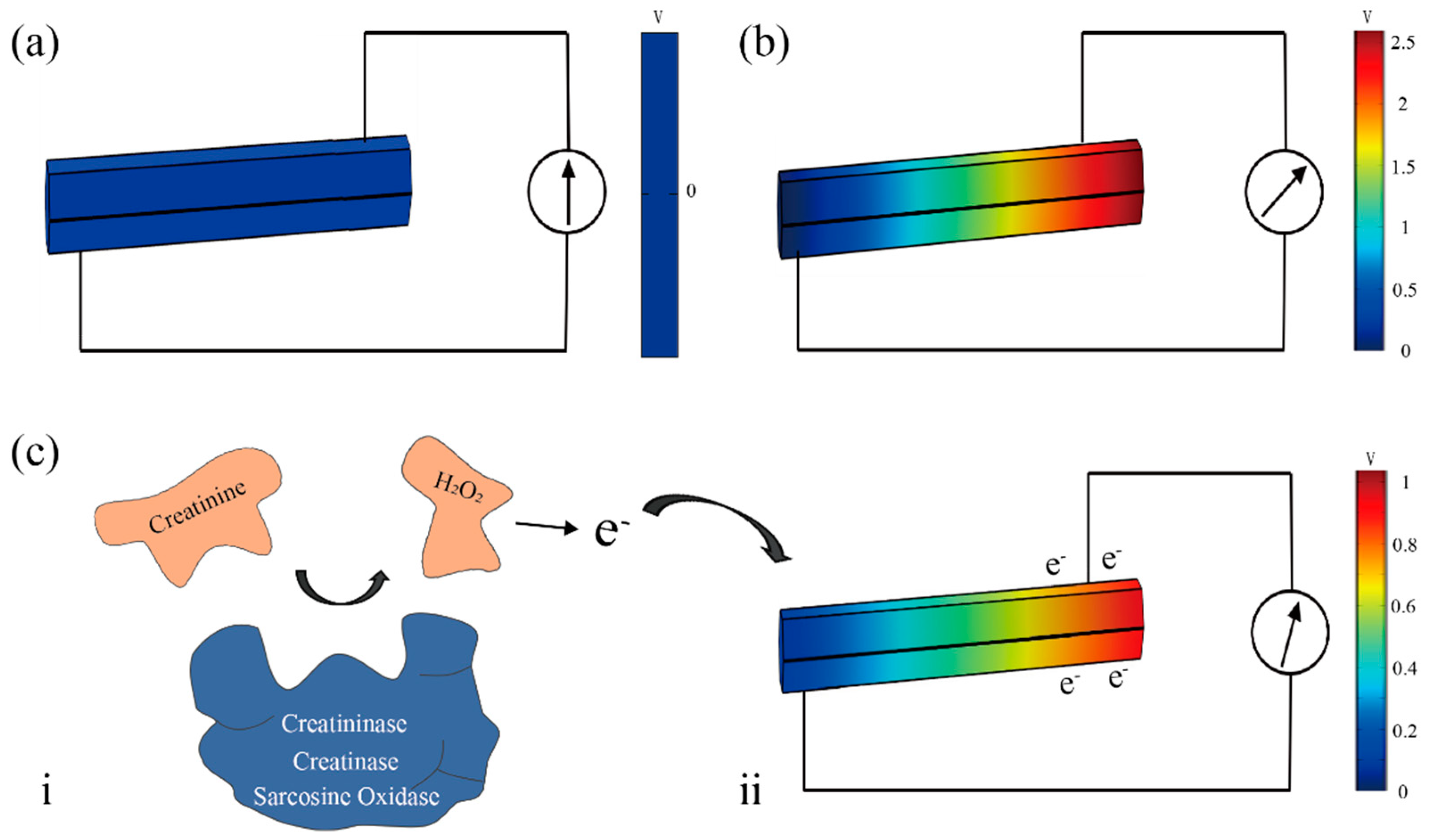 Biosensors 11 00342 g006 550