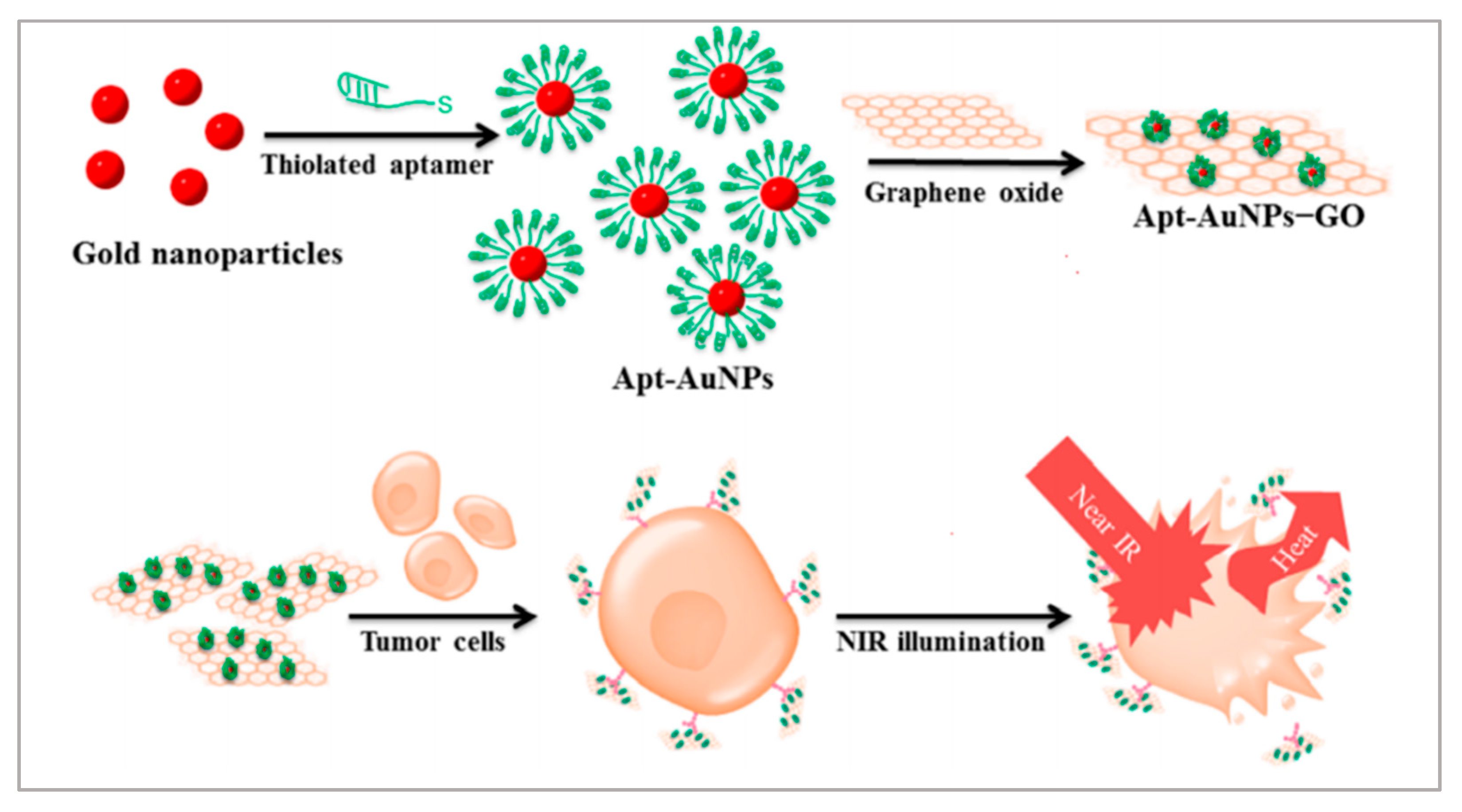 Biosensors 11 00344 g002 550