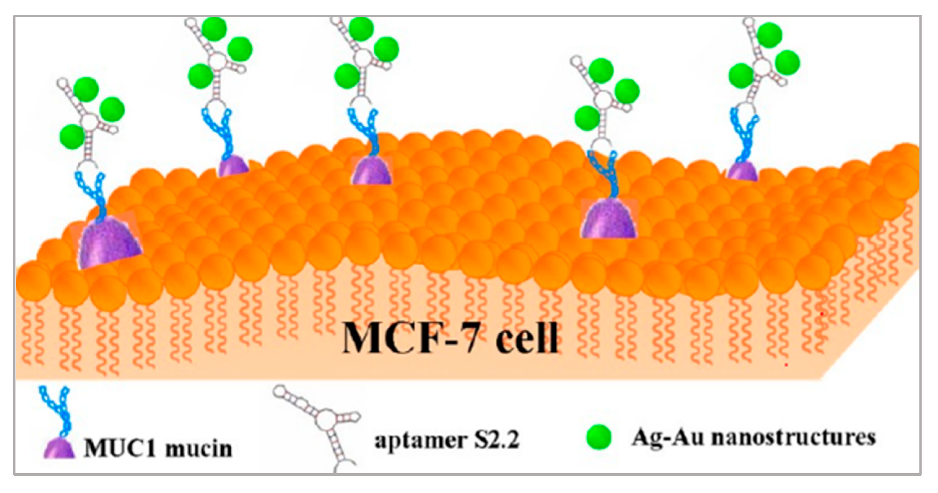 Biosensors 11 00344 g003 550