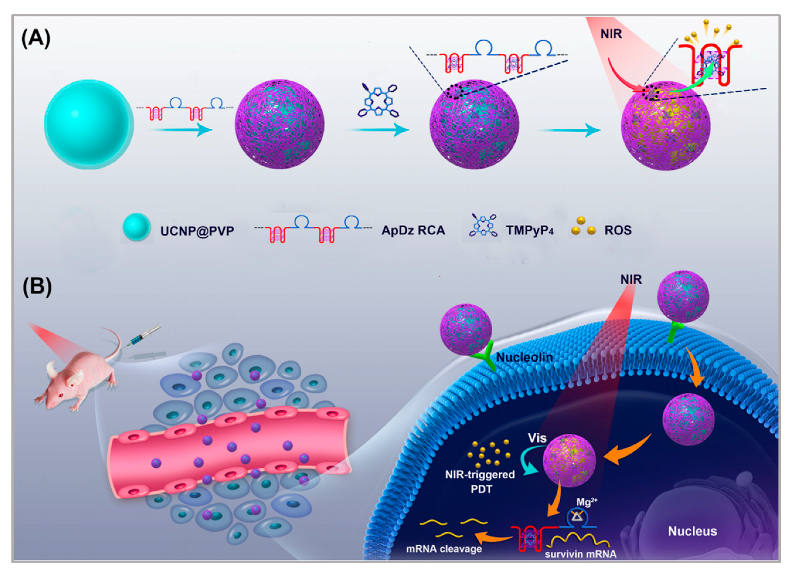 Biosensors 11 00344 g004 550