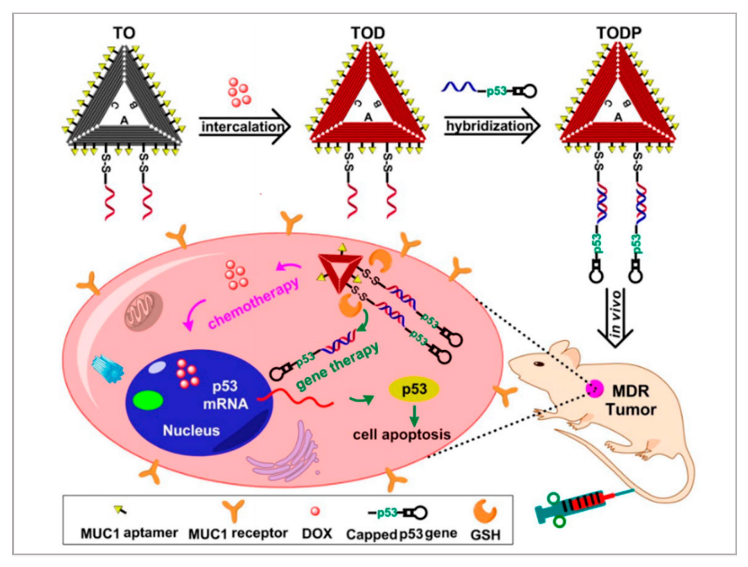 Biosensors 11 00344 g005 550