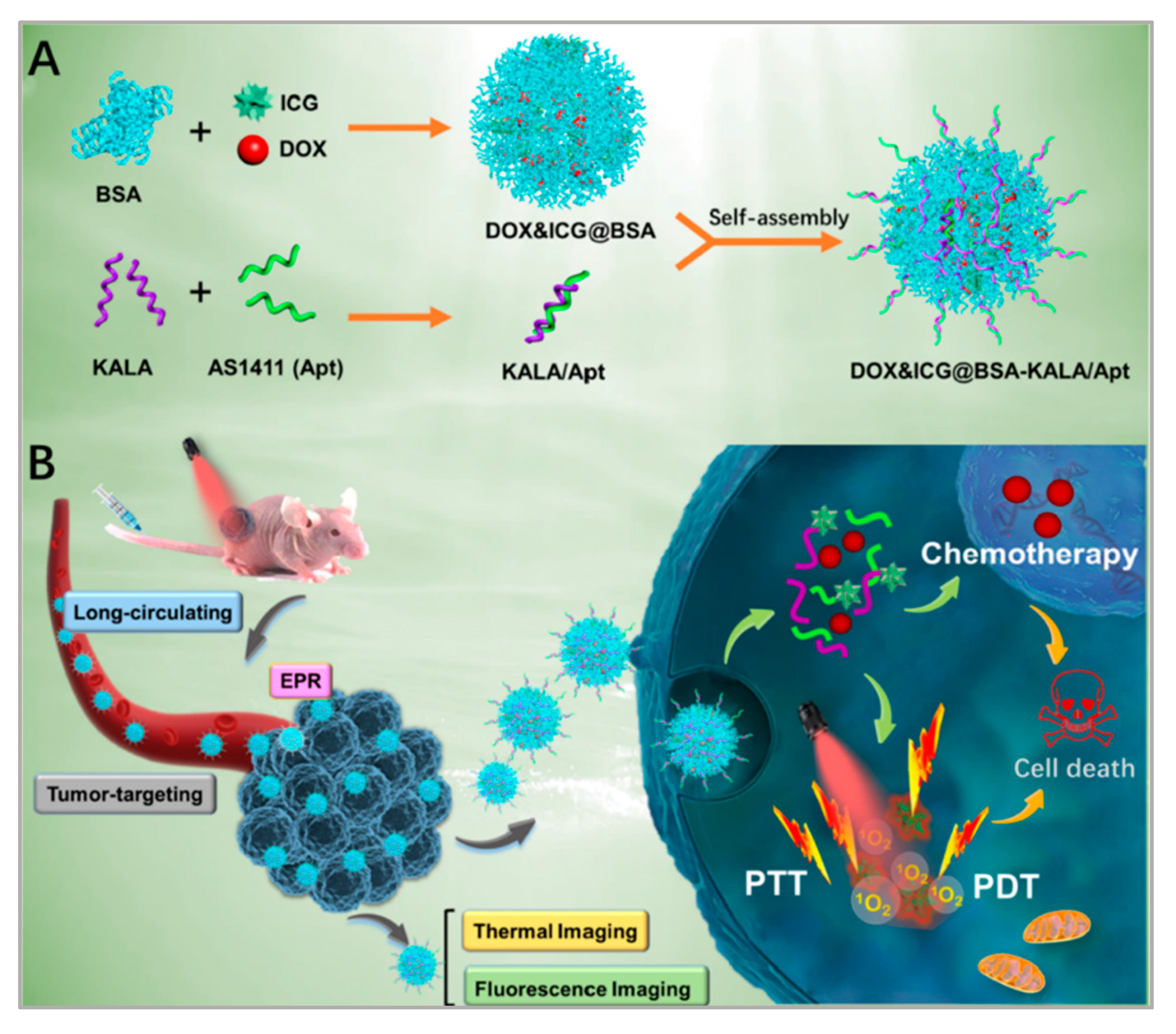 Biosensors 11 00344 g006 550