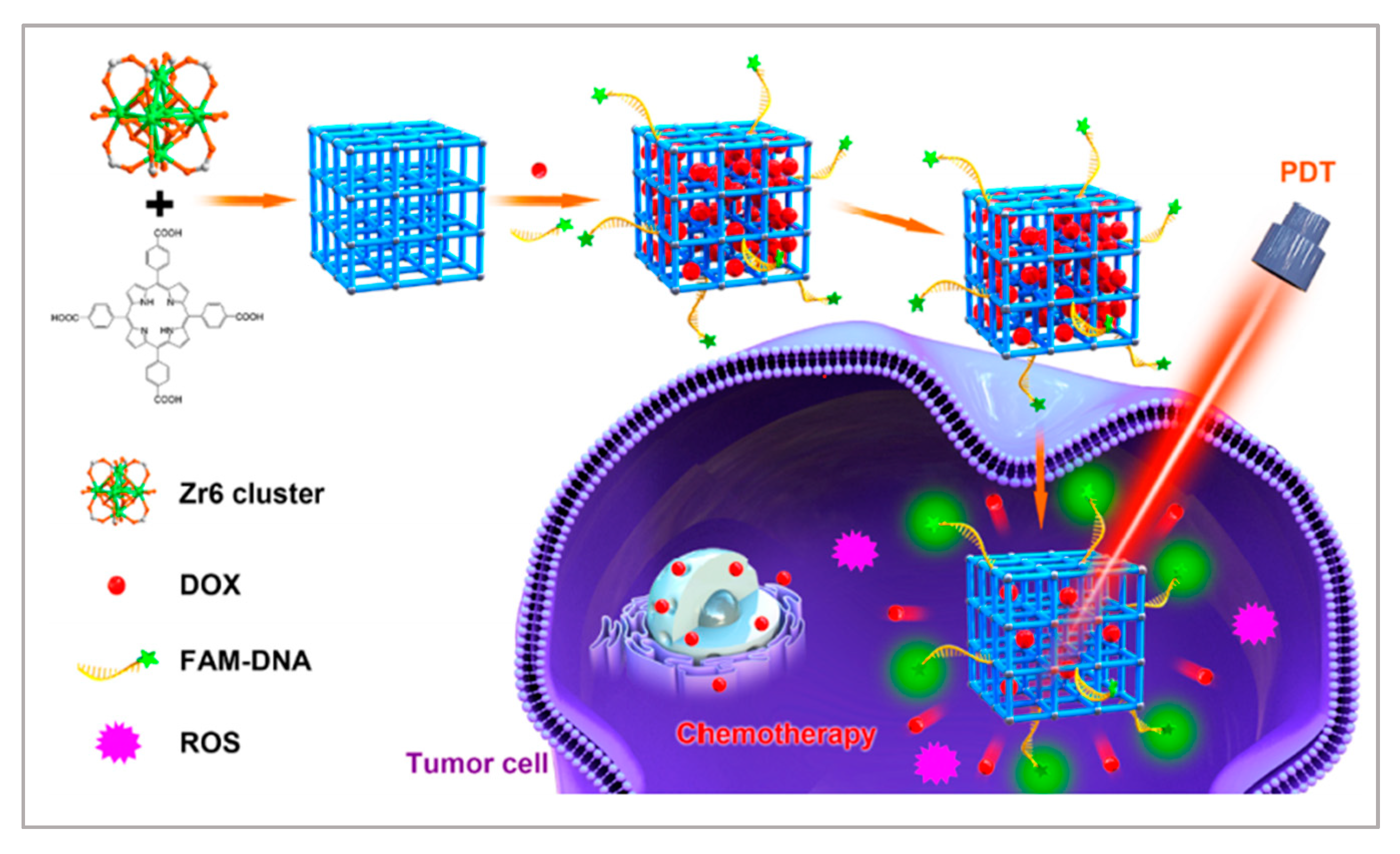 Biosensors 11 00344 g007 550