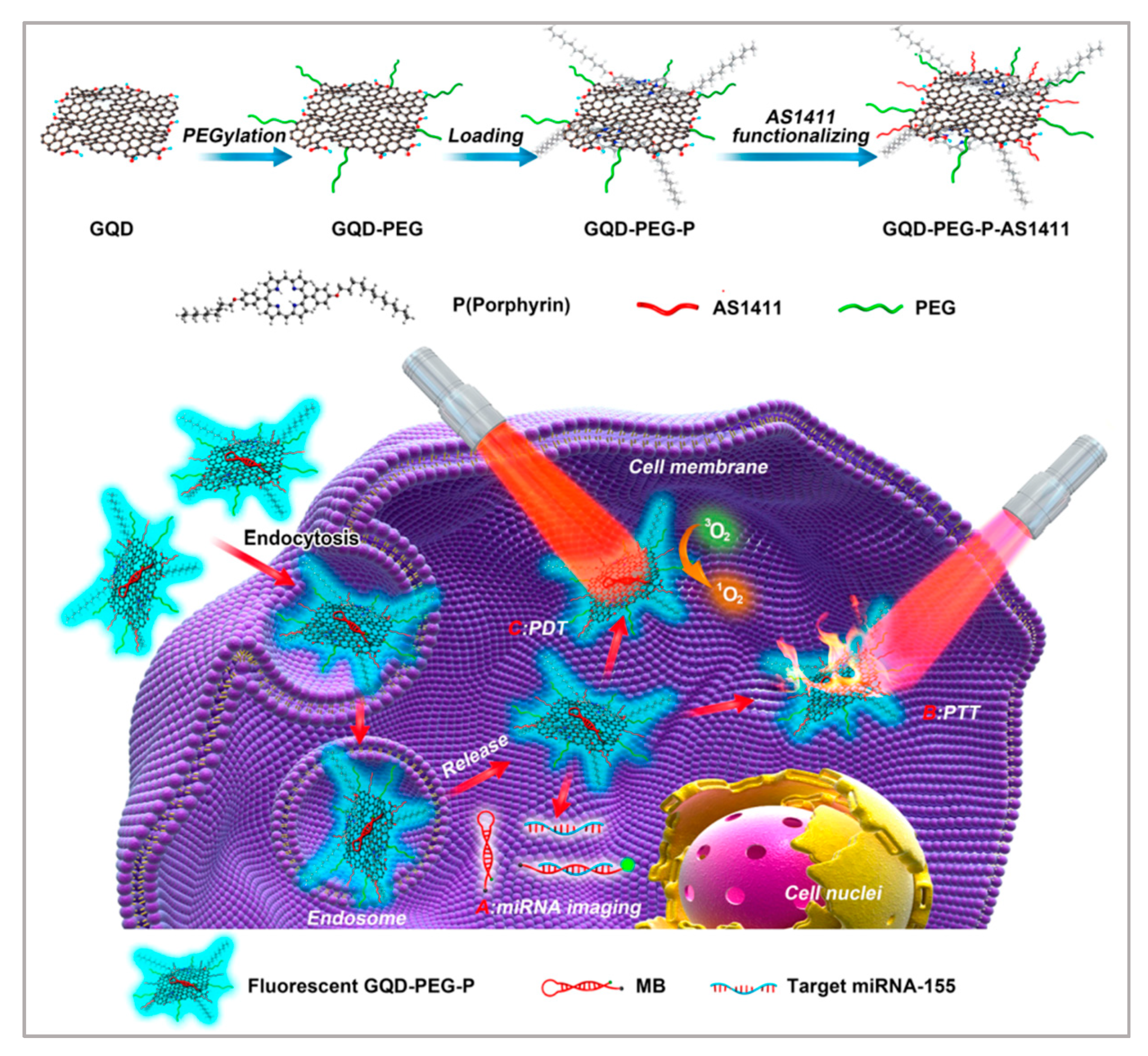 Biosensors 11 00344 g008 550