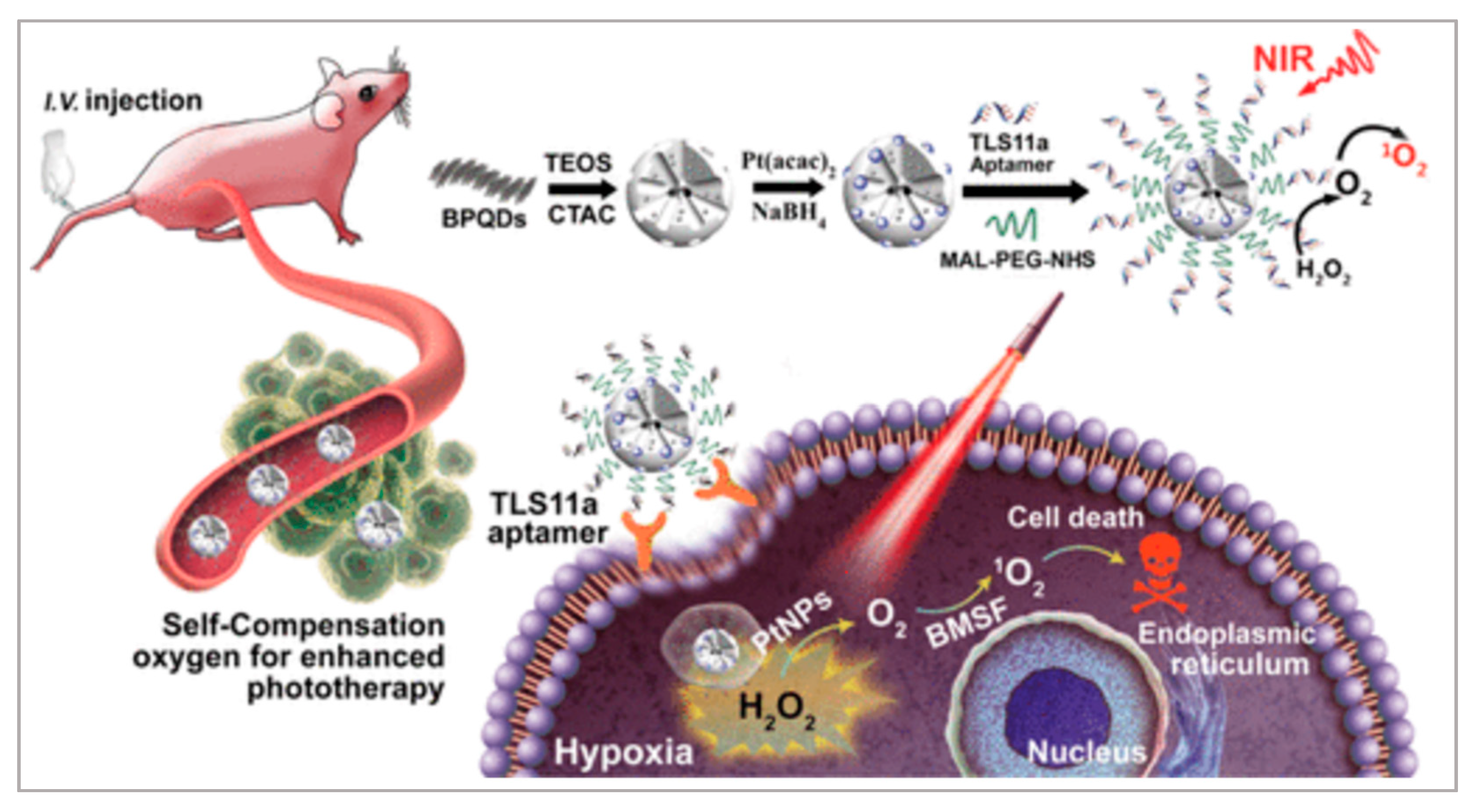 Biosensors 11 00344 g009 550