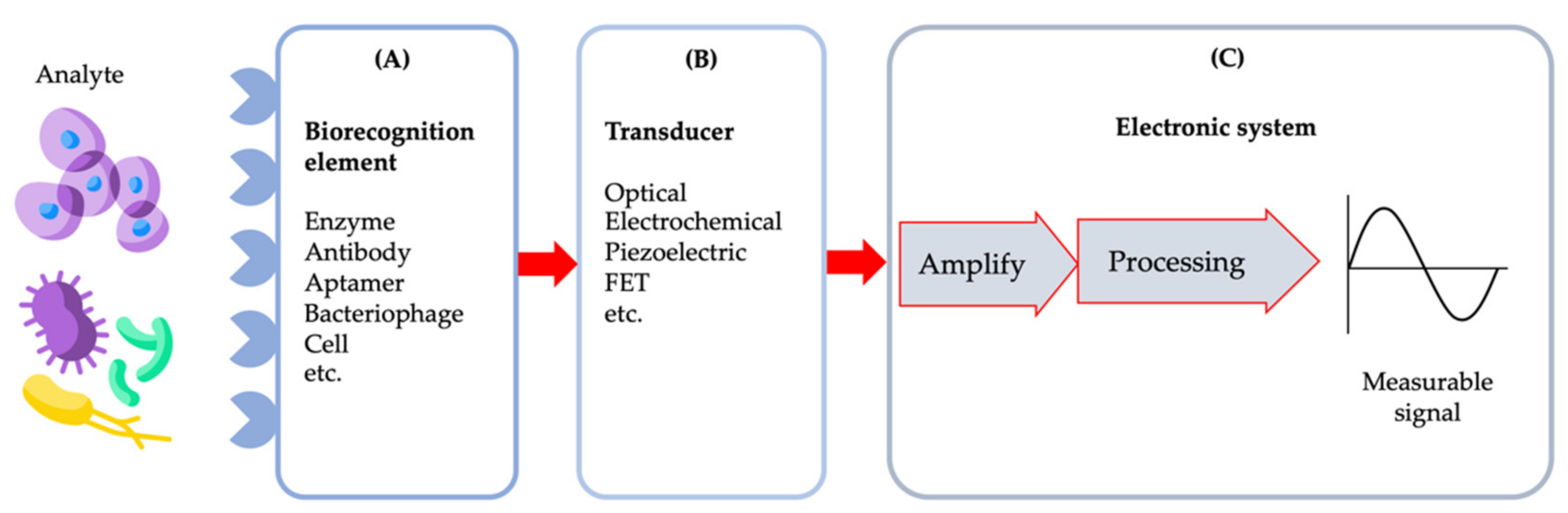 Biosensors 11 00346 g004 Biosensors 11 00346 g004