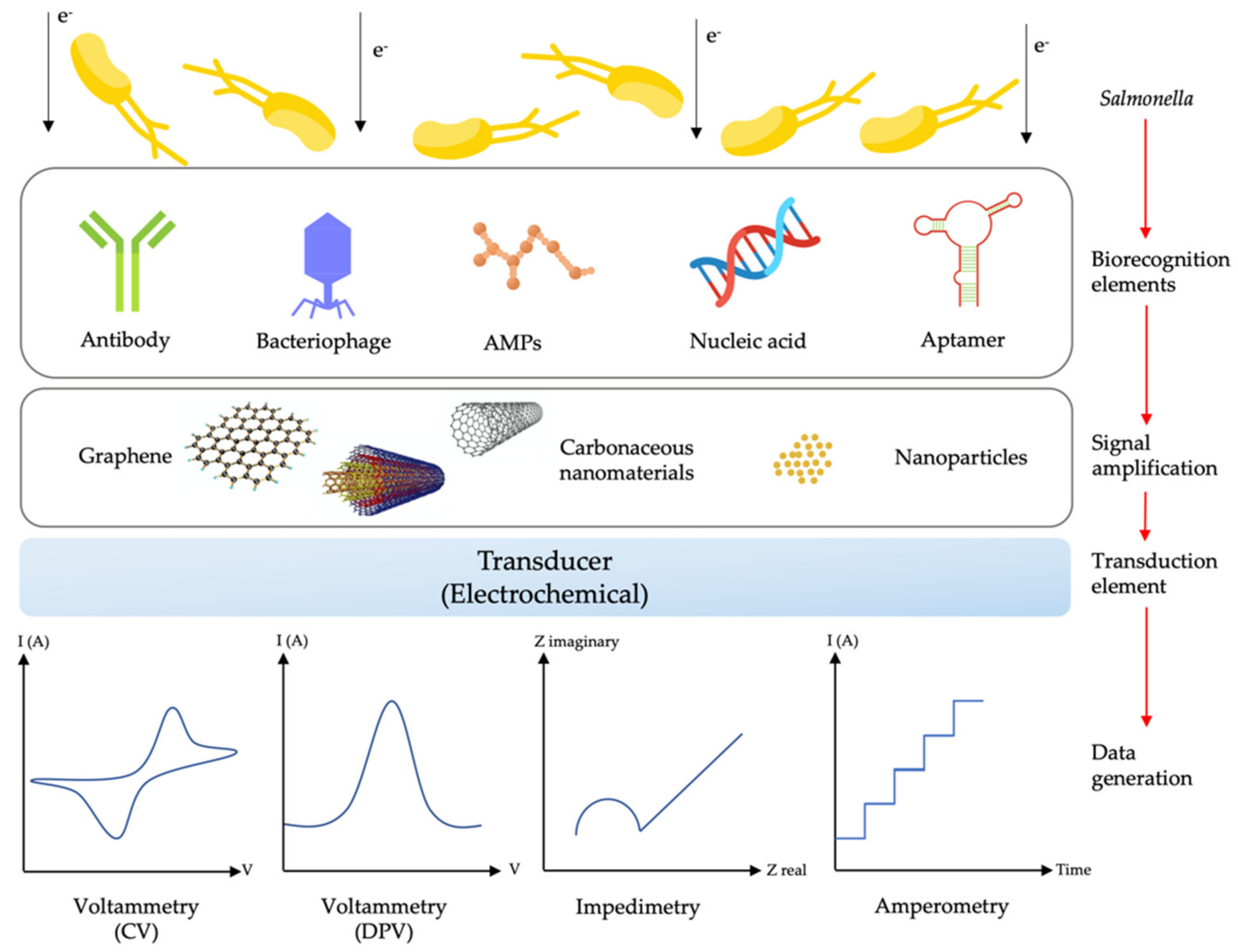 Biosensors 11 00346 g005 Biosensors 11 00346 g005