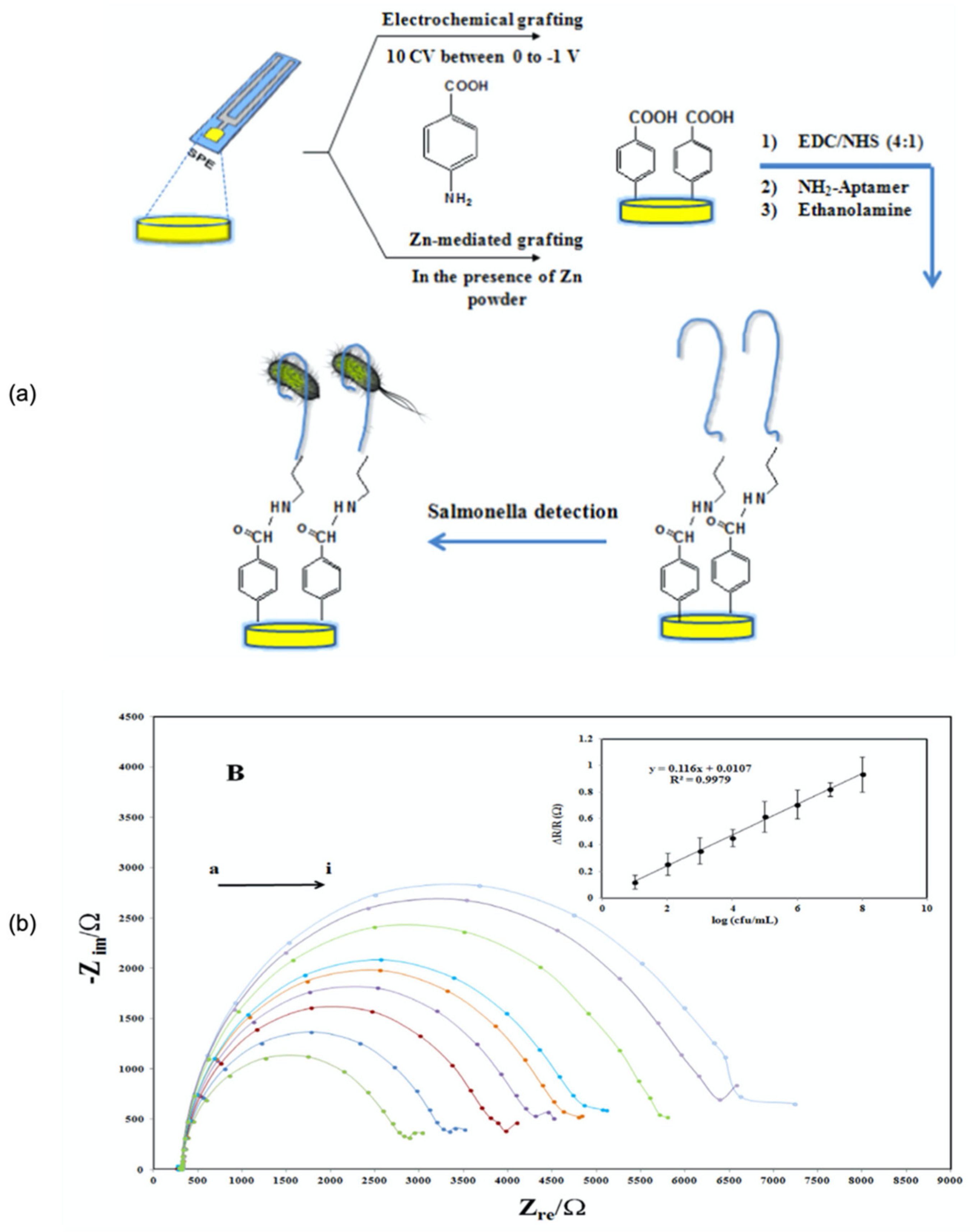 Biosensors 11 00346 g007 Biosensors 11 00346 g007