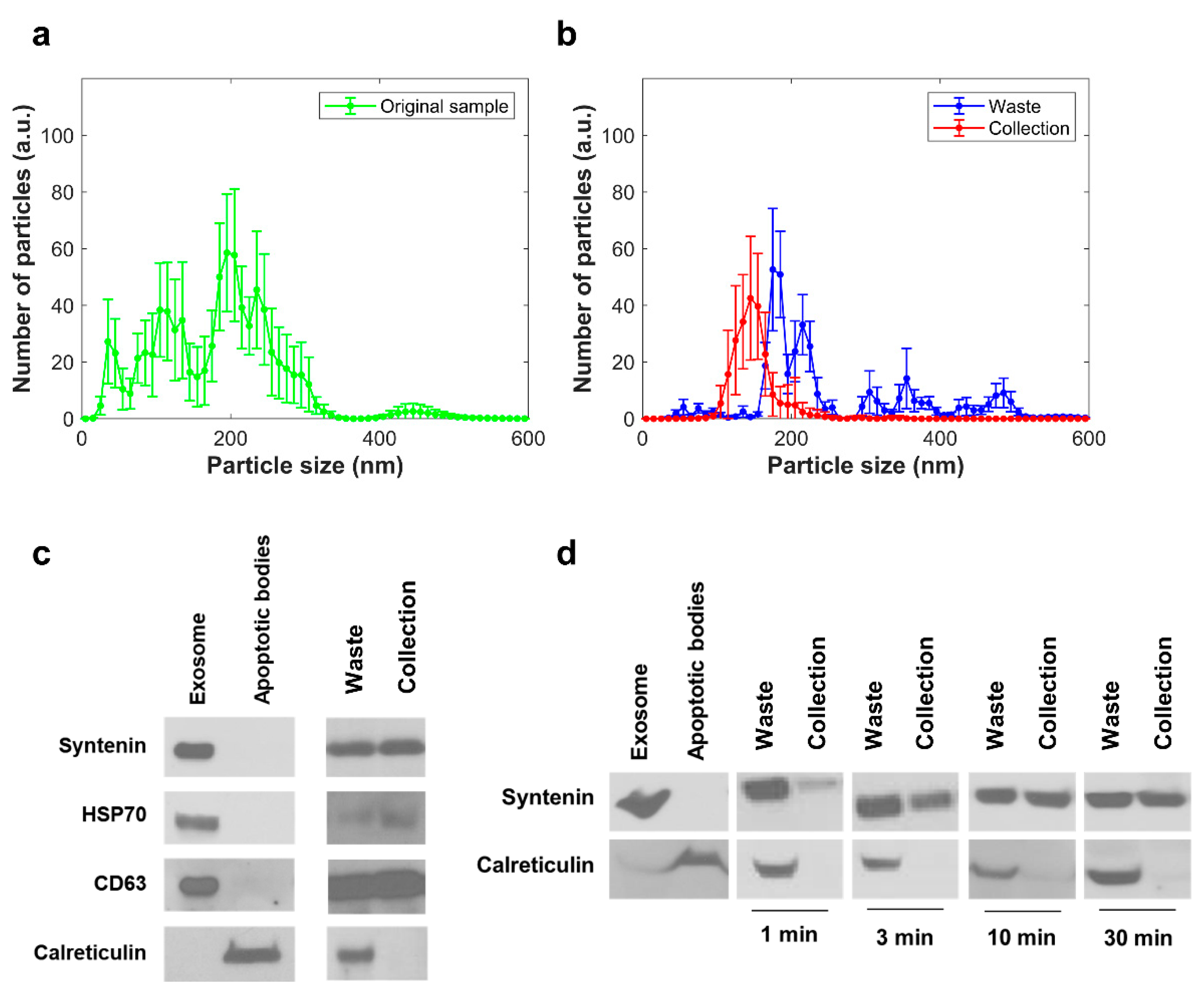 Biosensors 11 00347 g003 550