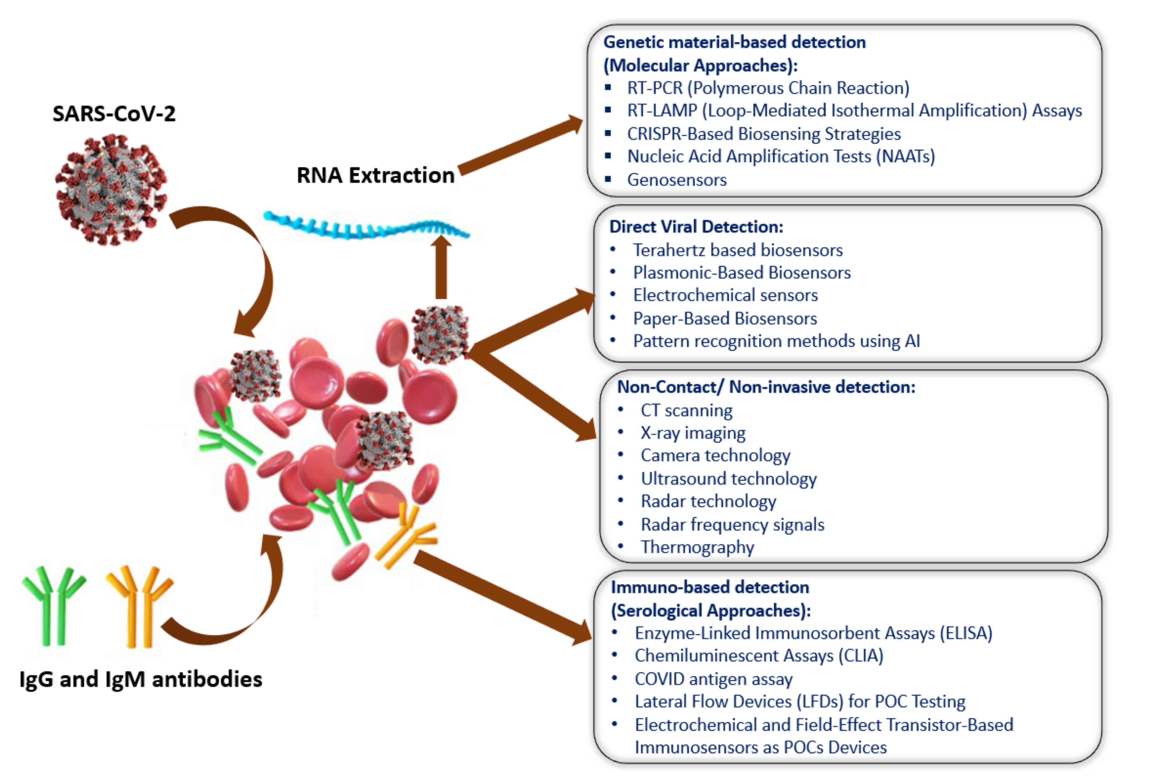 Biosensors 11 00349 g002 550