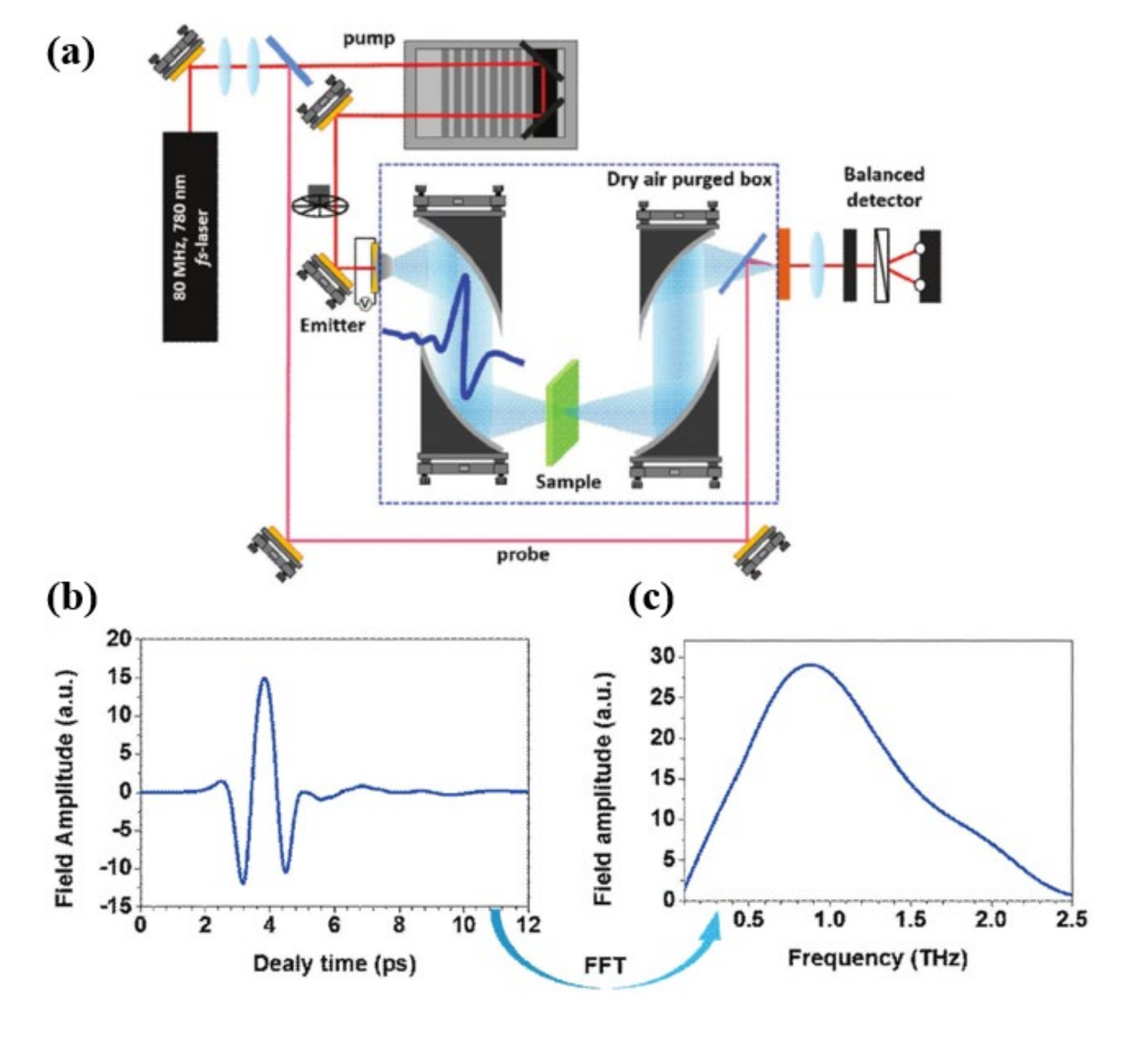 Biosensors 11 00349 g003 550