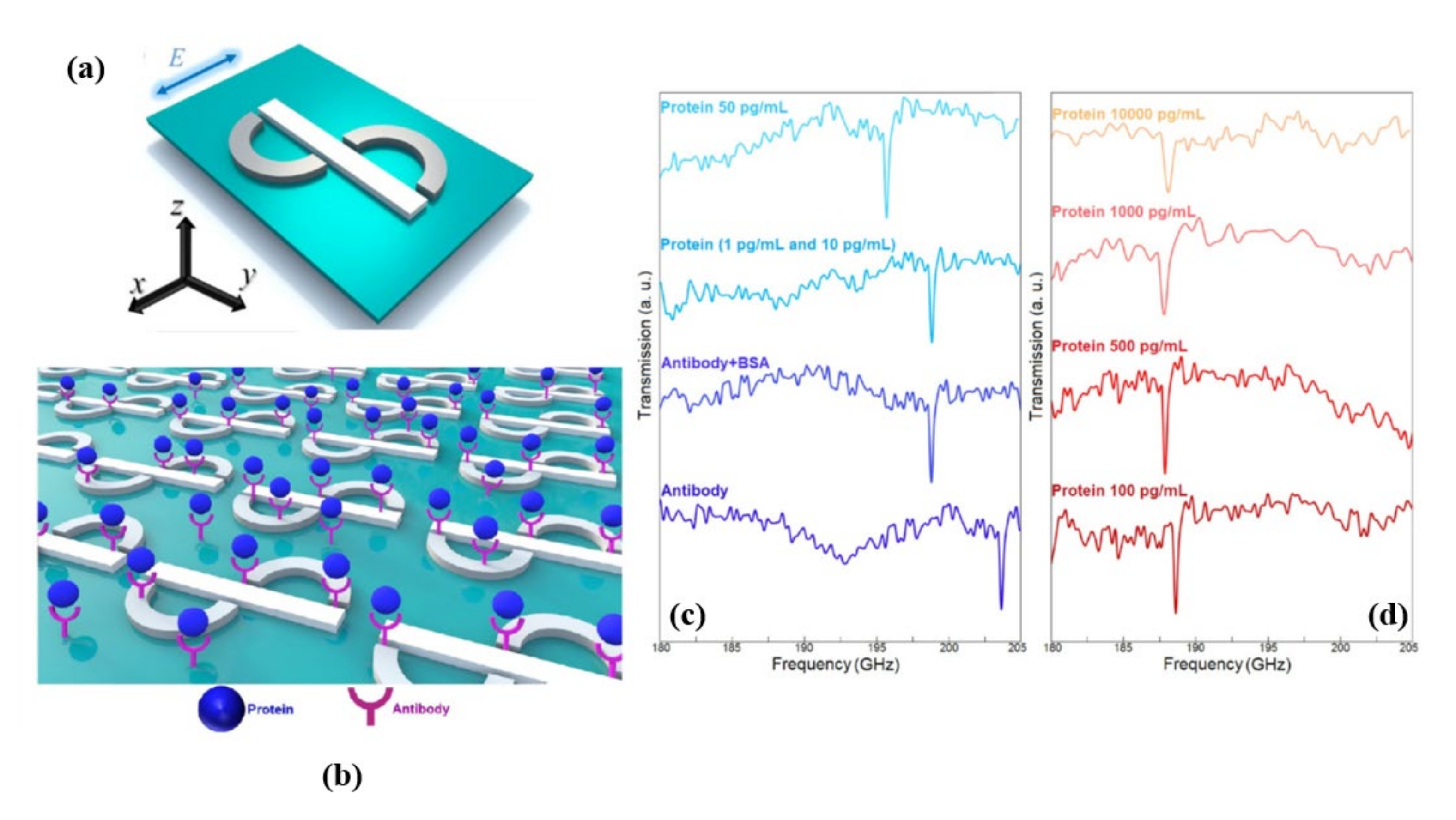 Biosensors 11 00349 g007 550