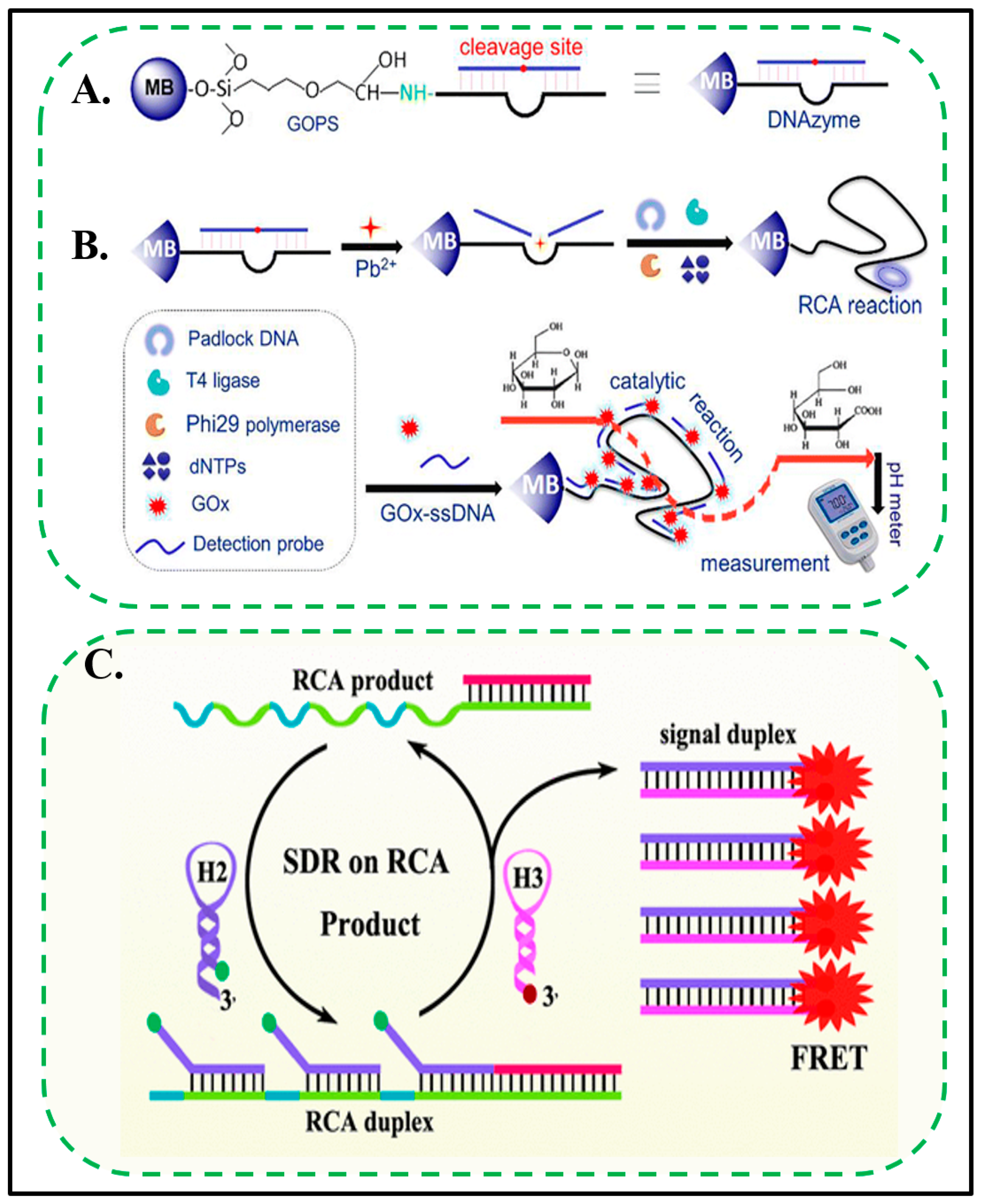 Biosensors 11 00352 g003
