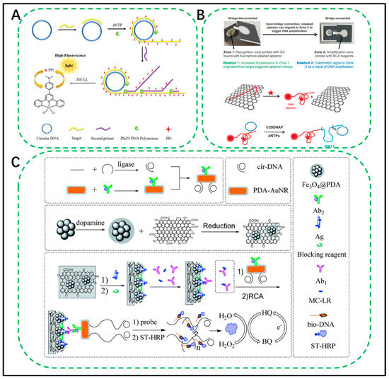 Biosensors Free FullText Rolling Circle Amplification as an Efficient Analytical Tool for