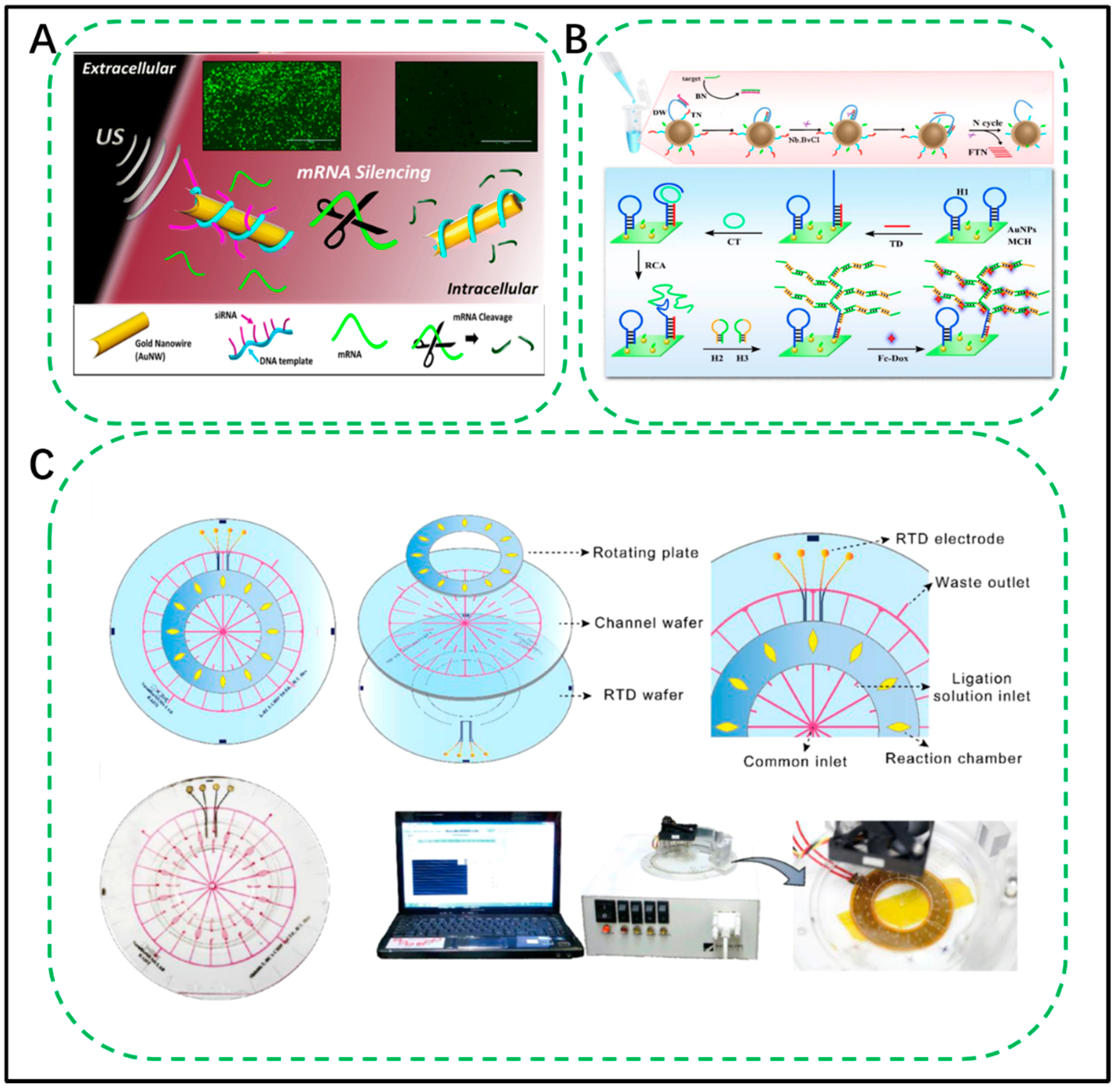 Biosensors 11 00352 g007