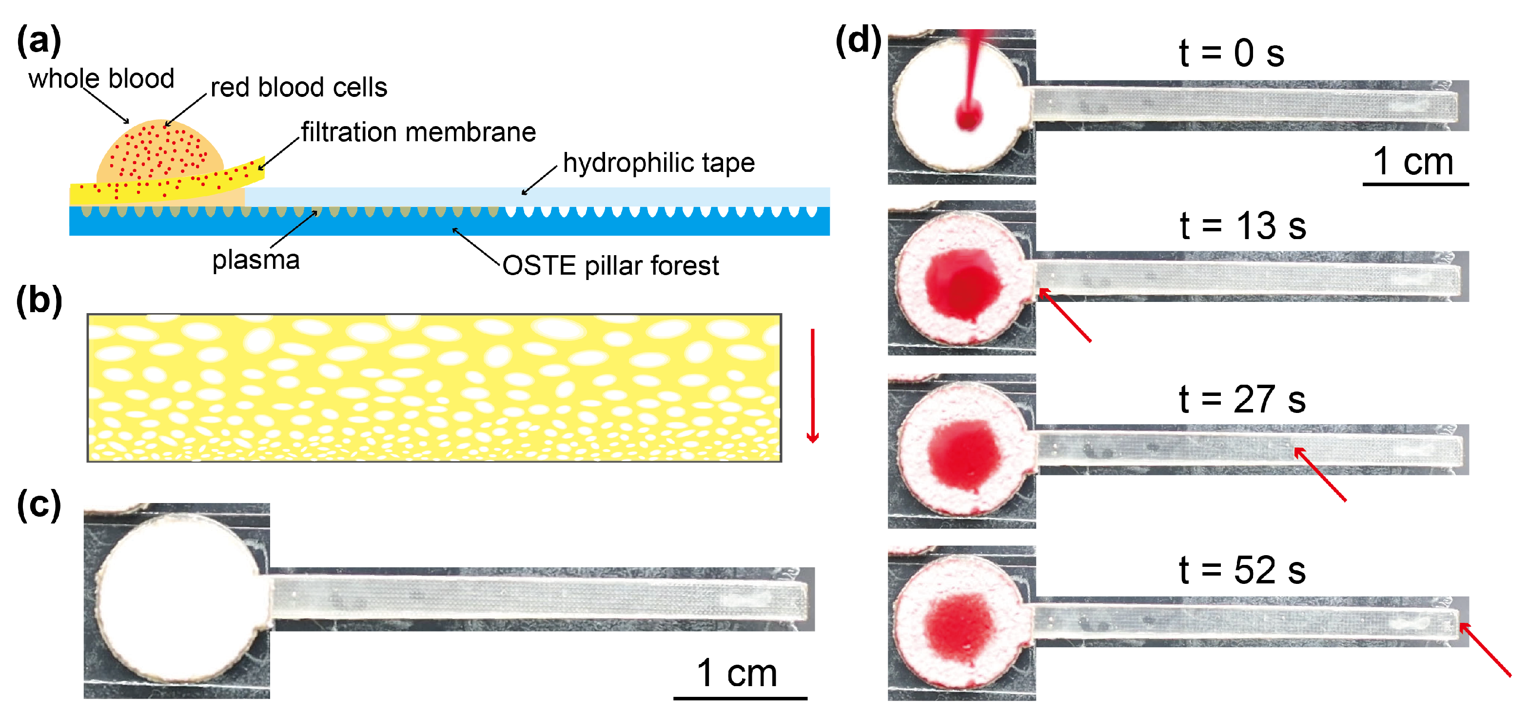 Biosensors 11 00355 g002