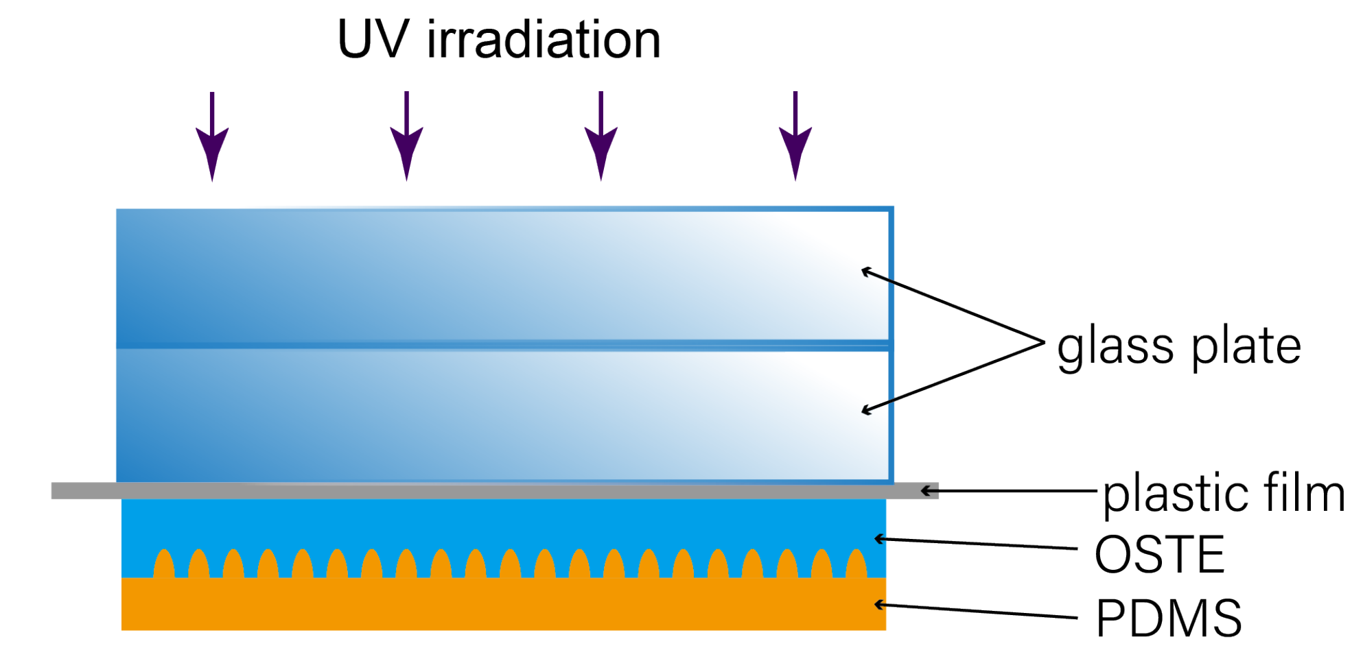 Biosensors 11 00355 g0a1