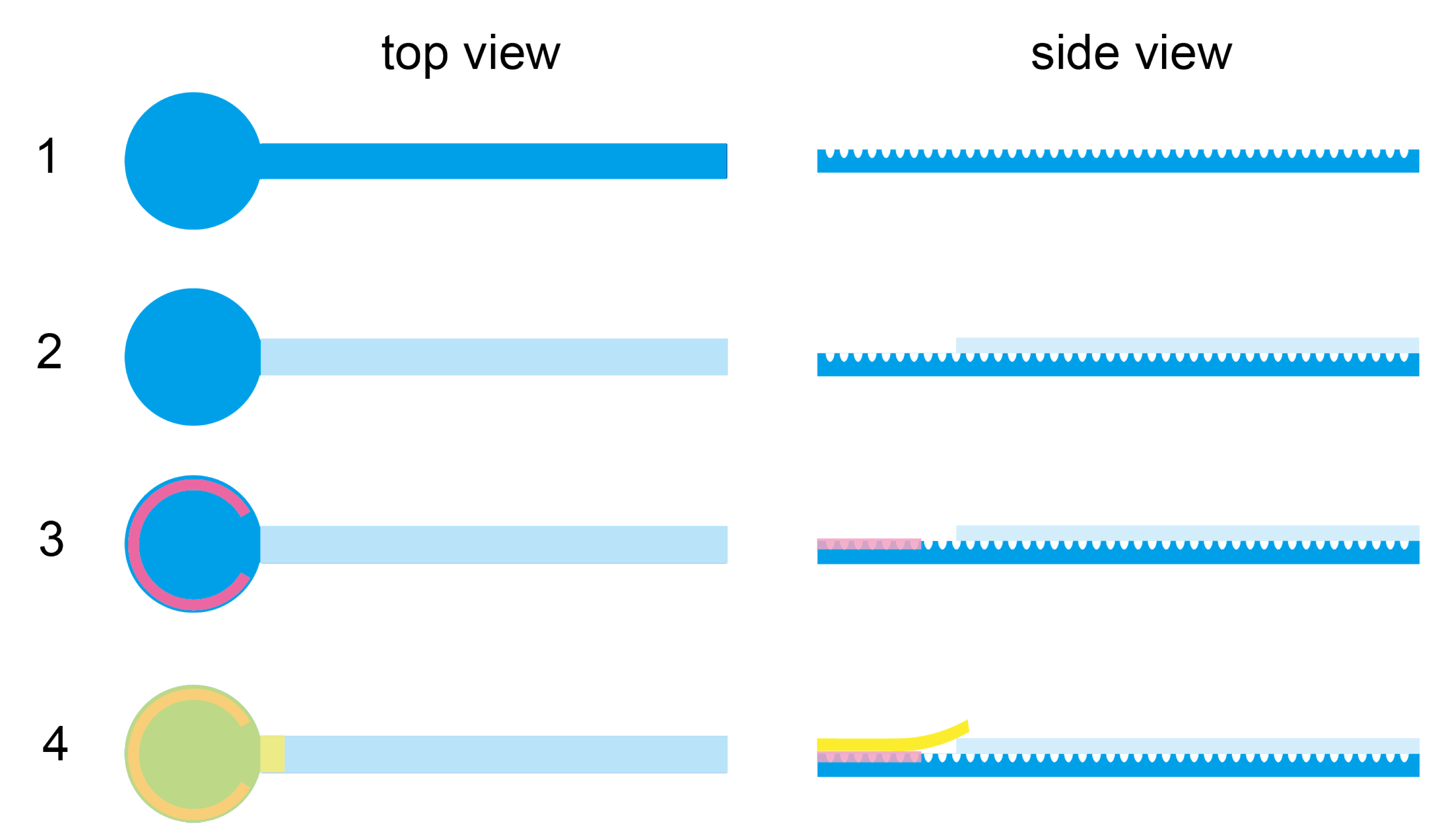 Biosensors 11 00355 g0a2