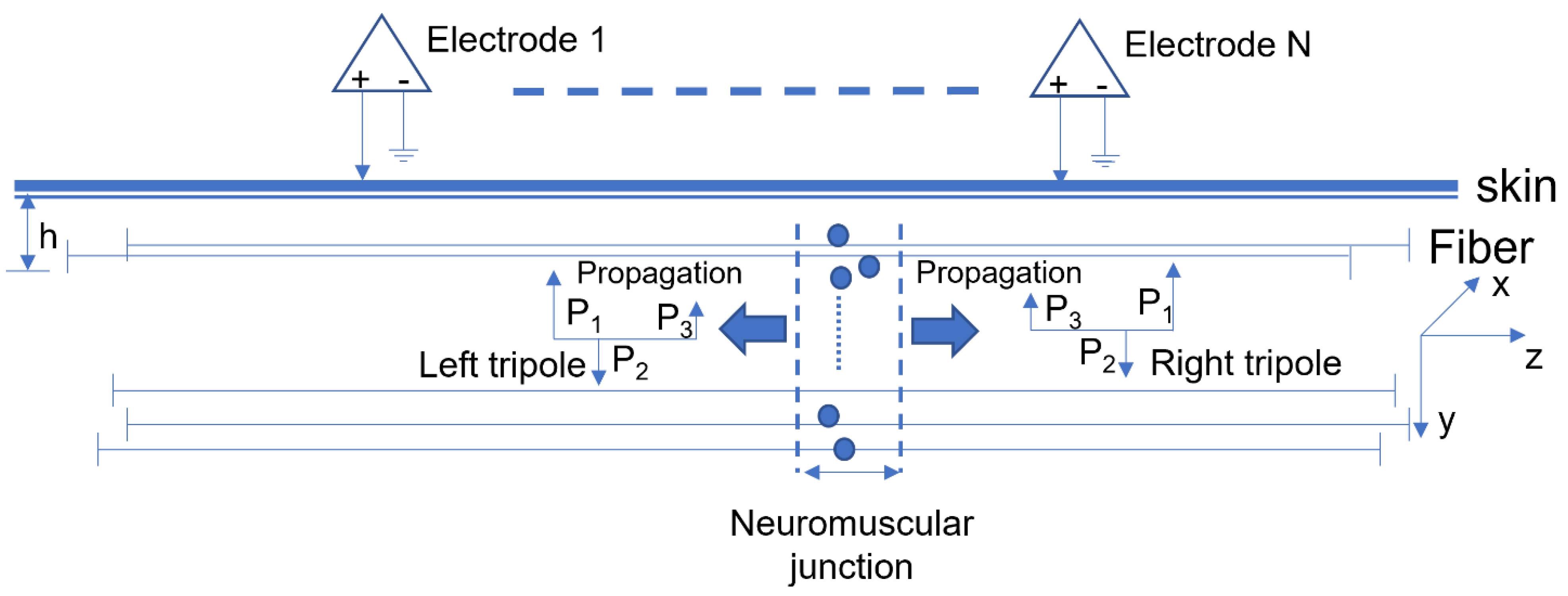 Biosensors 11 00356 g001