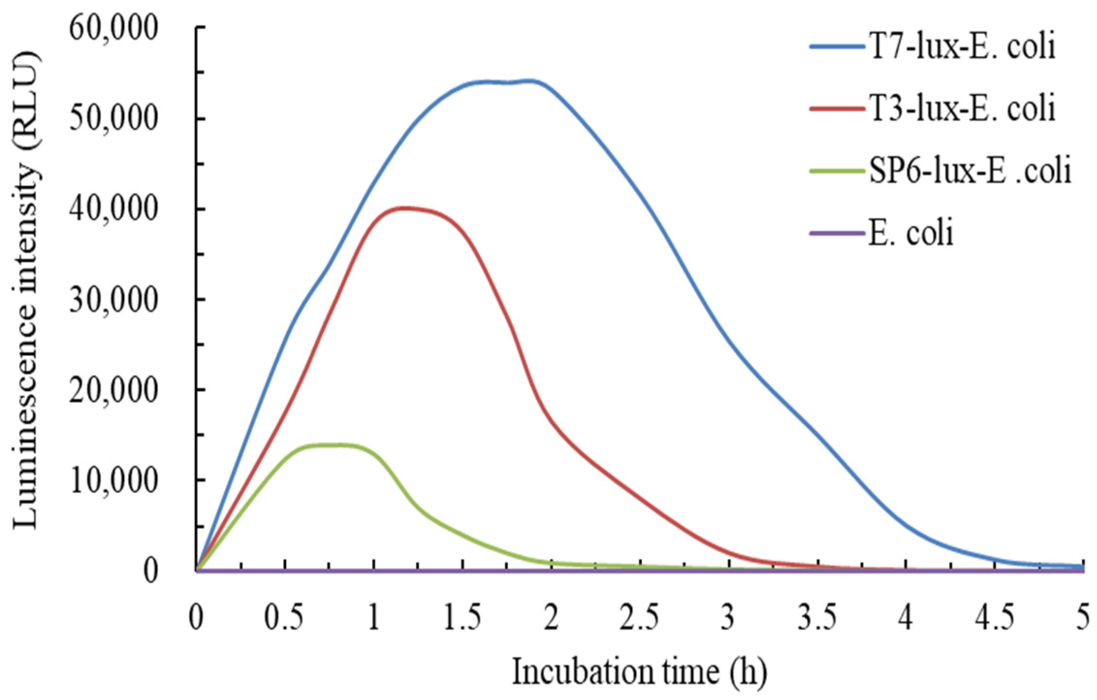 Biosensors 11 00357 g002