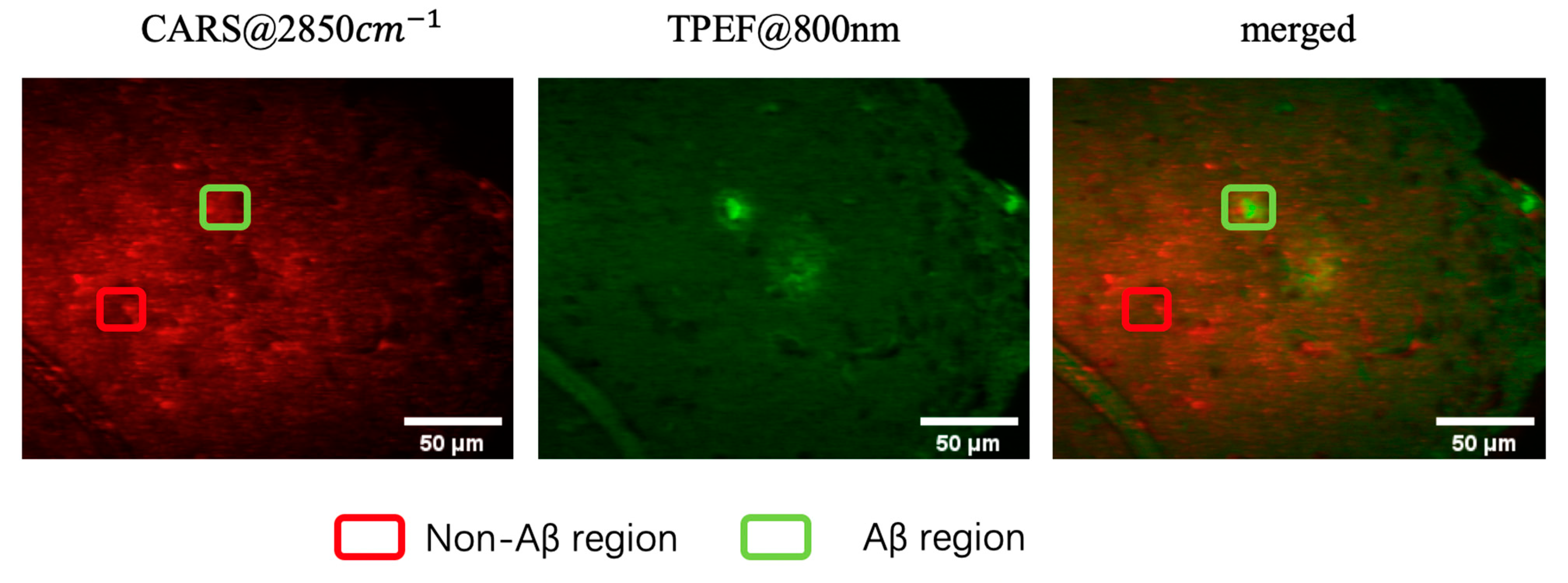 Biosensors 11 00365 g002