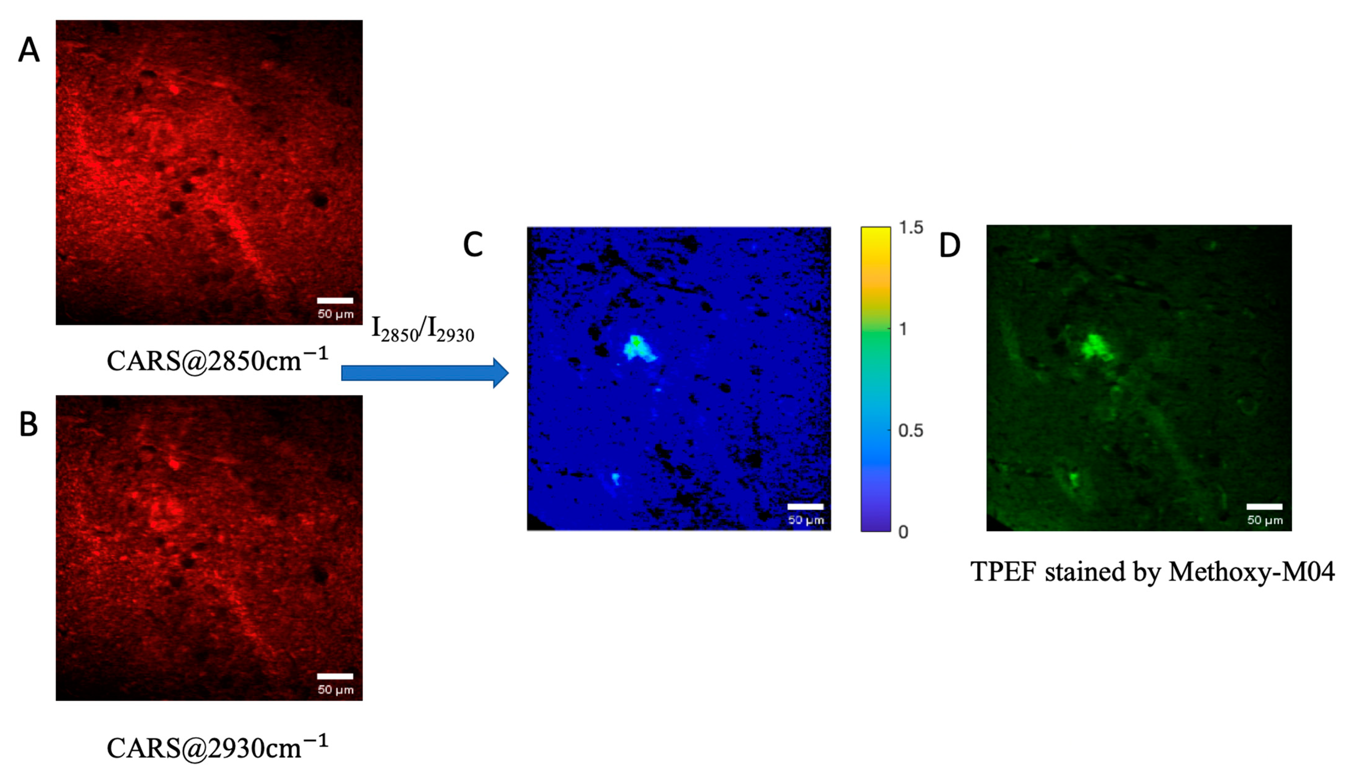 Biosensors 11 00365 g005