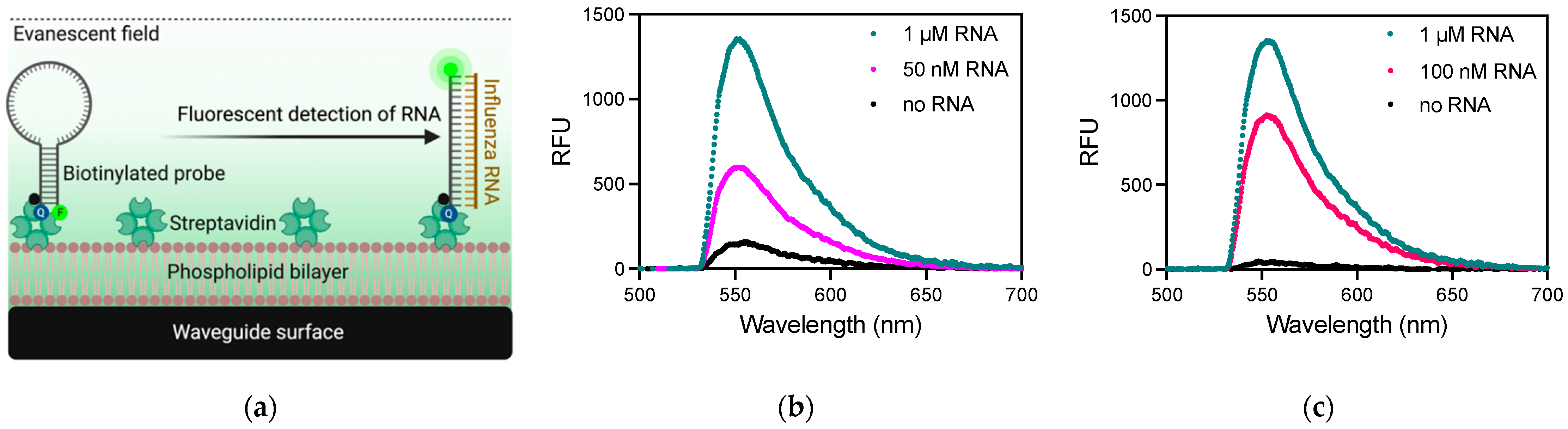 Biosensors 11 00367 g002 Biosensors 11 00367 g002