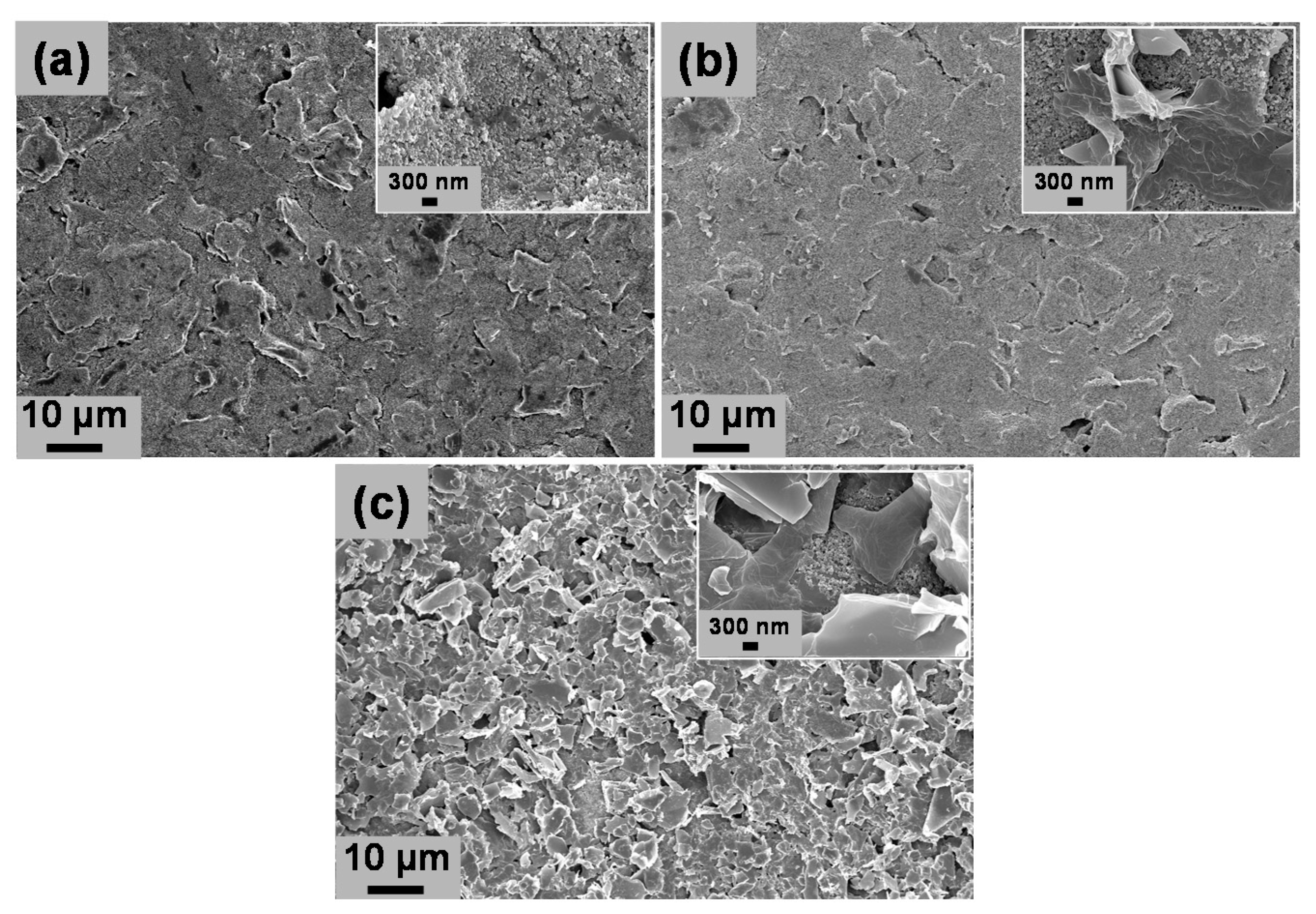Biosensors 11 00368 g001 550