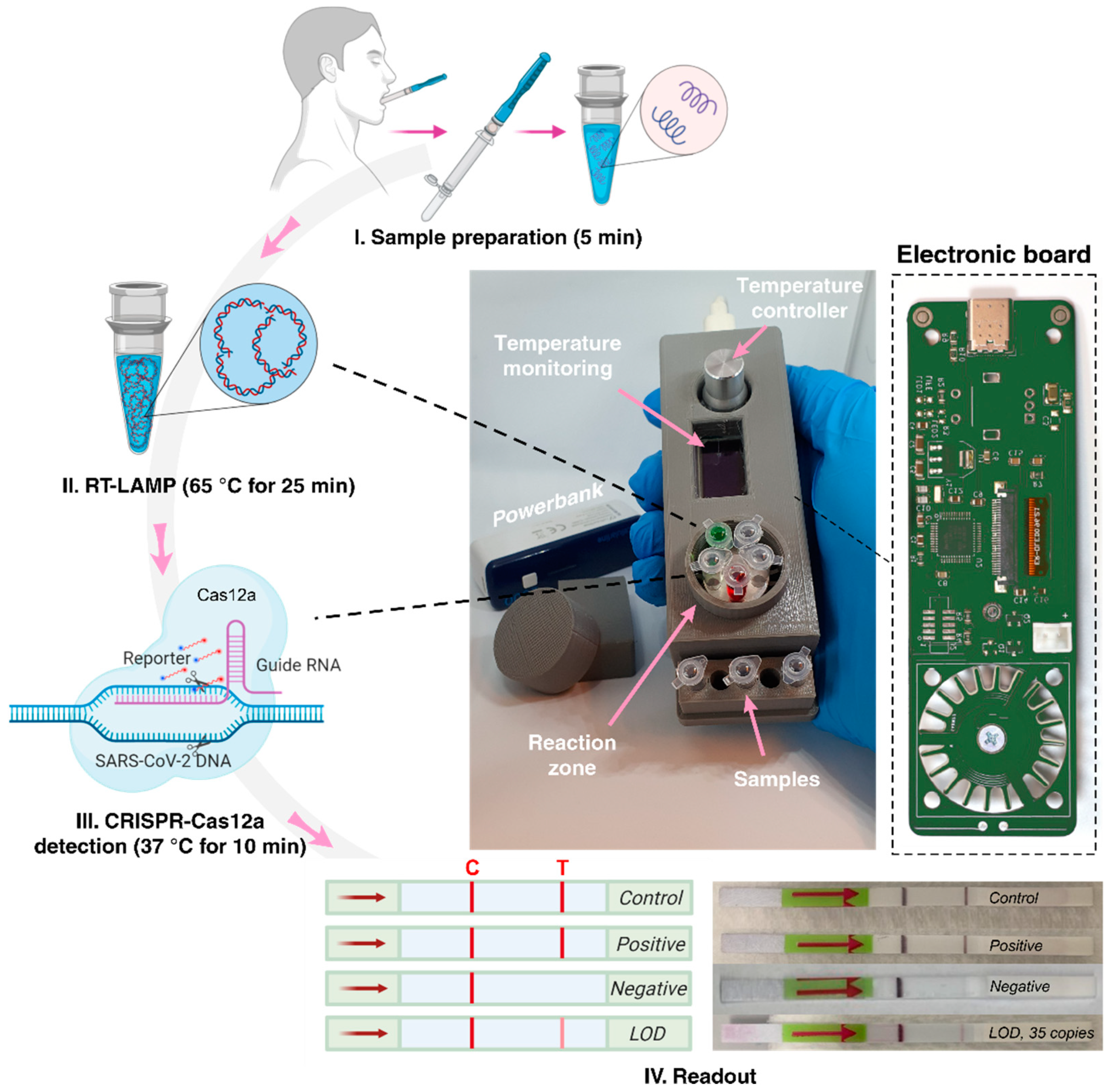 Biosensors 11 00369 g002 550