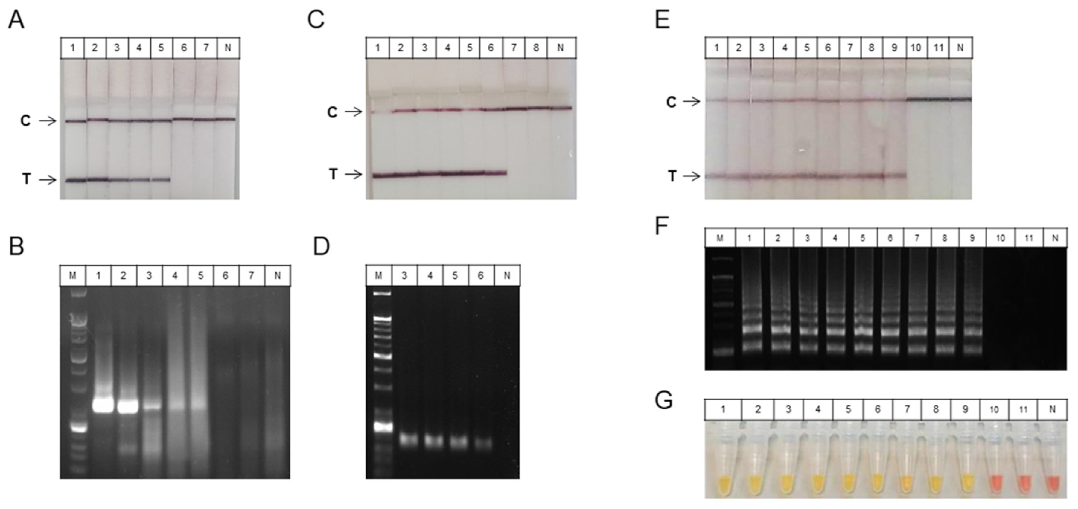 Biosensors 11 00373 g004 550