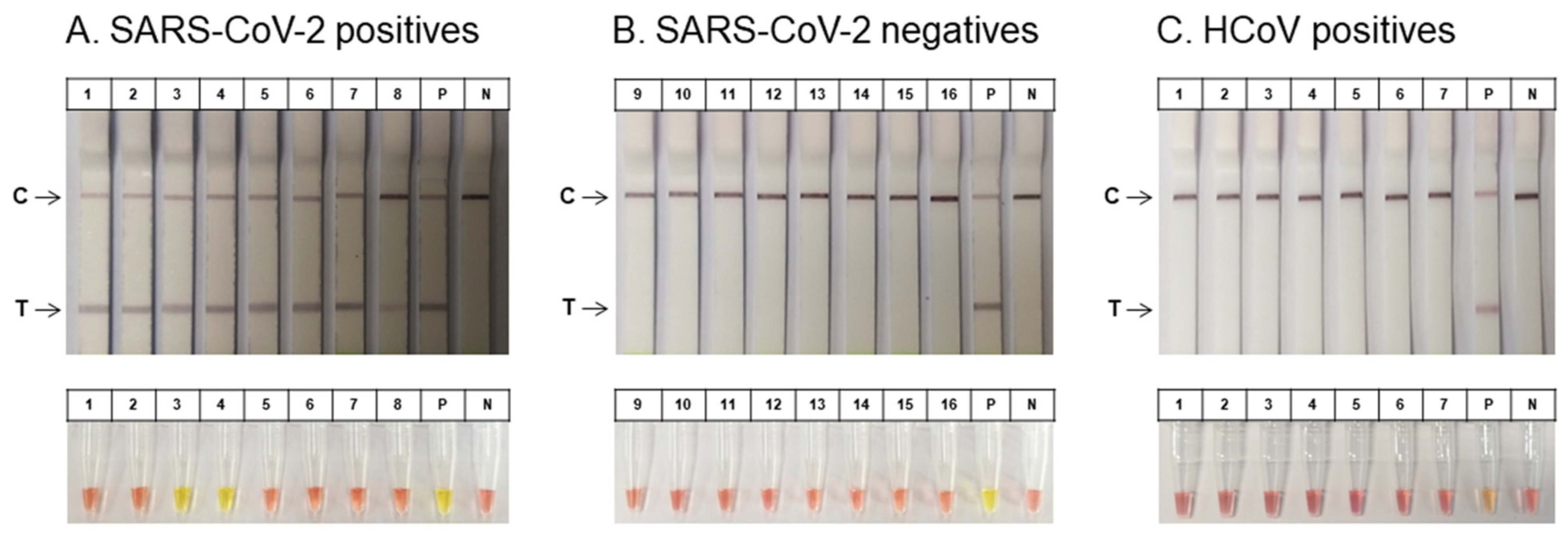 Biosensors 11 00373 g006 550