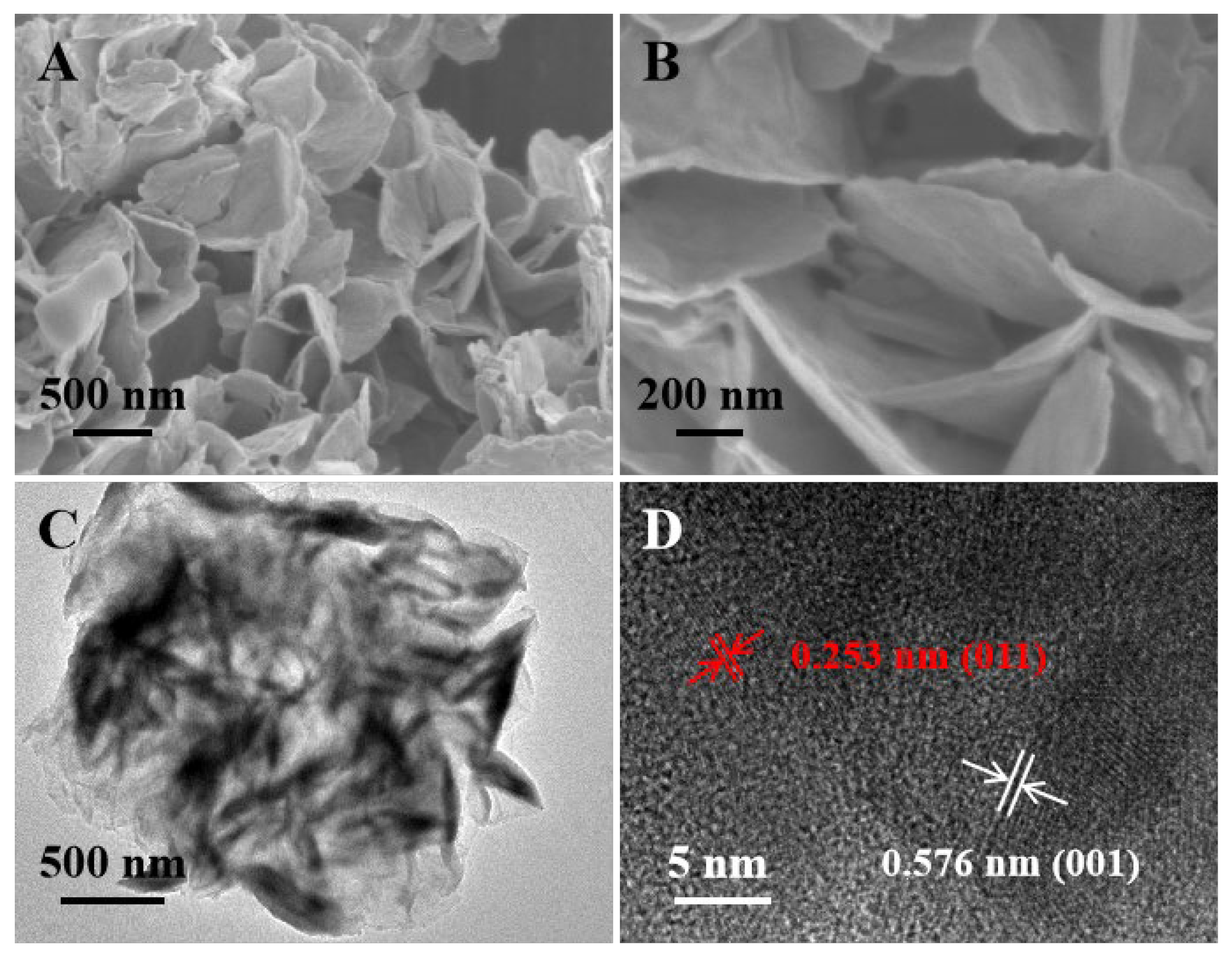 Biosensors 11 00378 g001