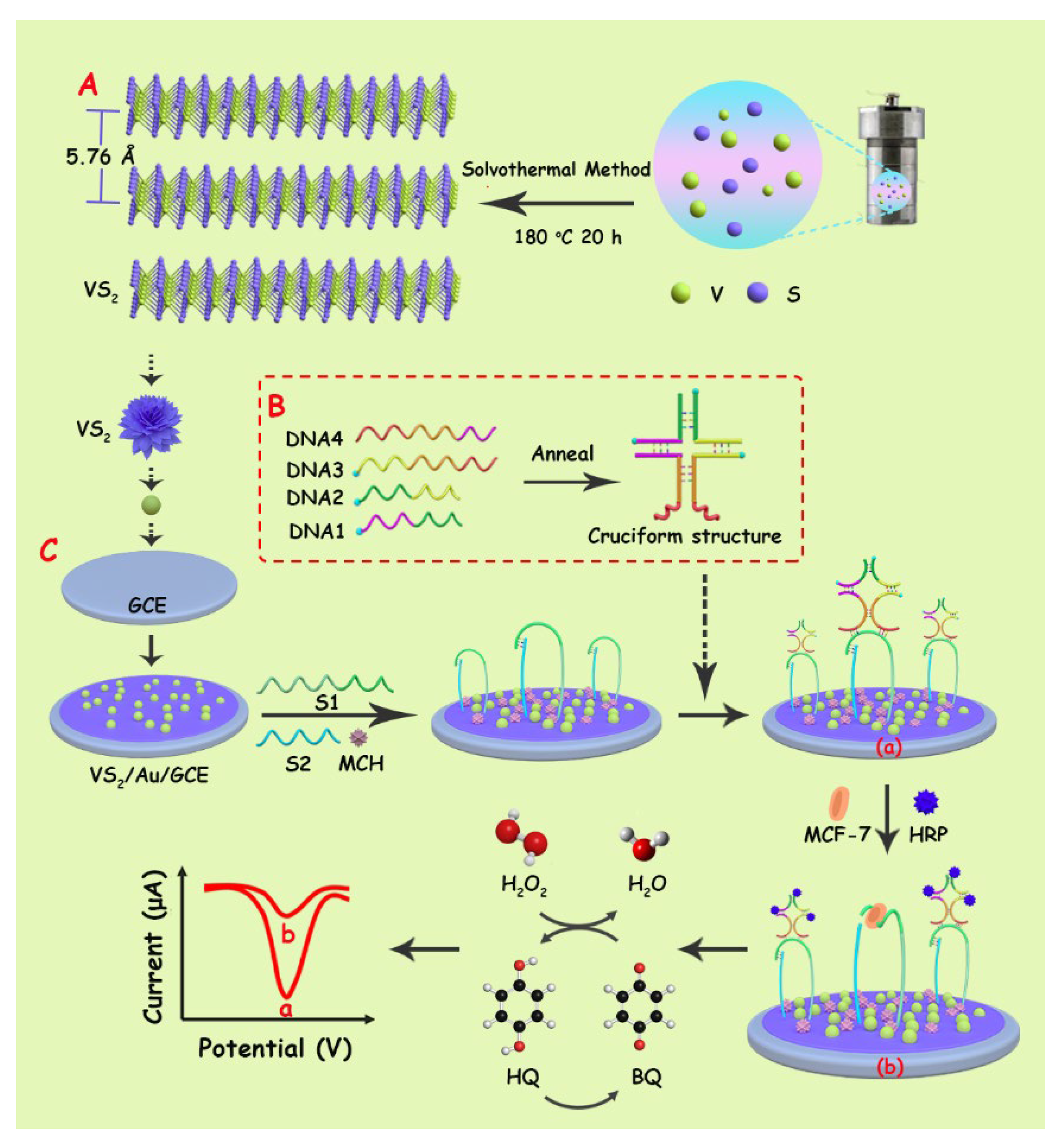 Biosensors 11 00378 sch001