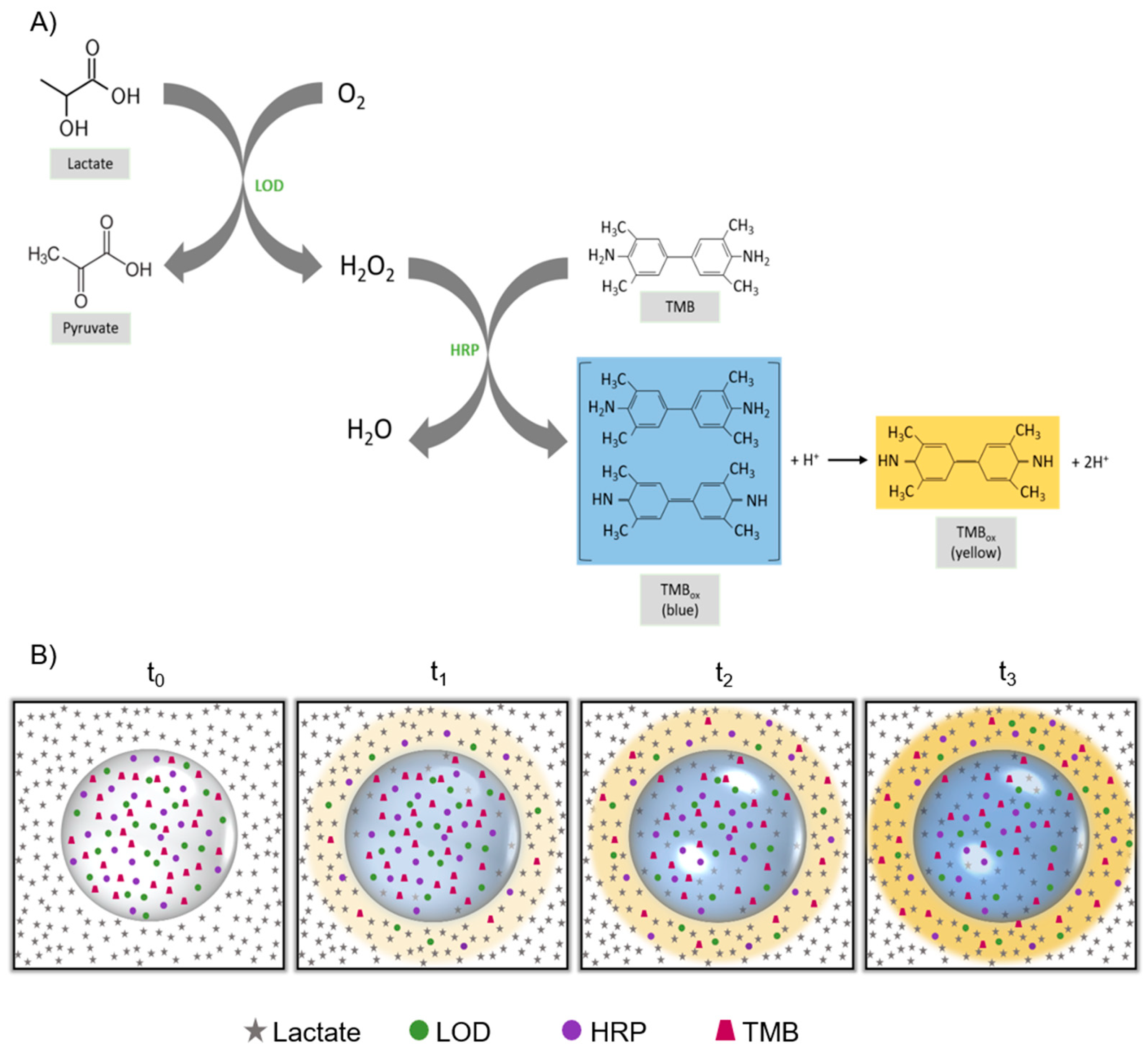 Biosensors 11 00379 g001 550