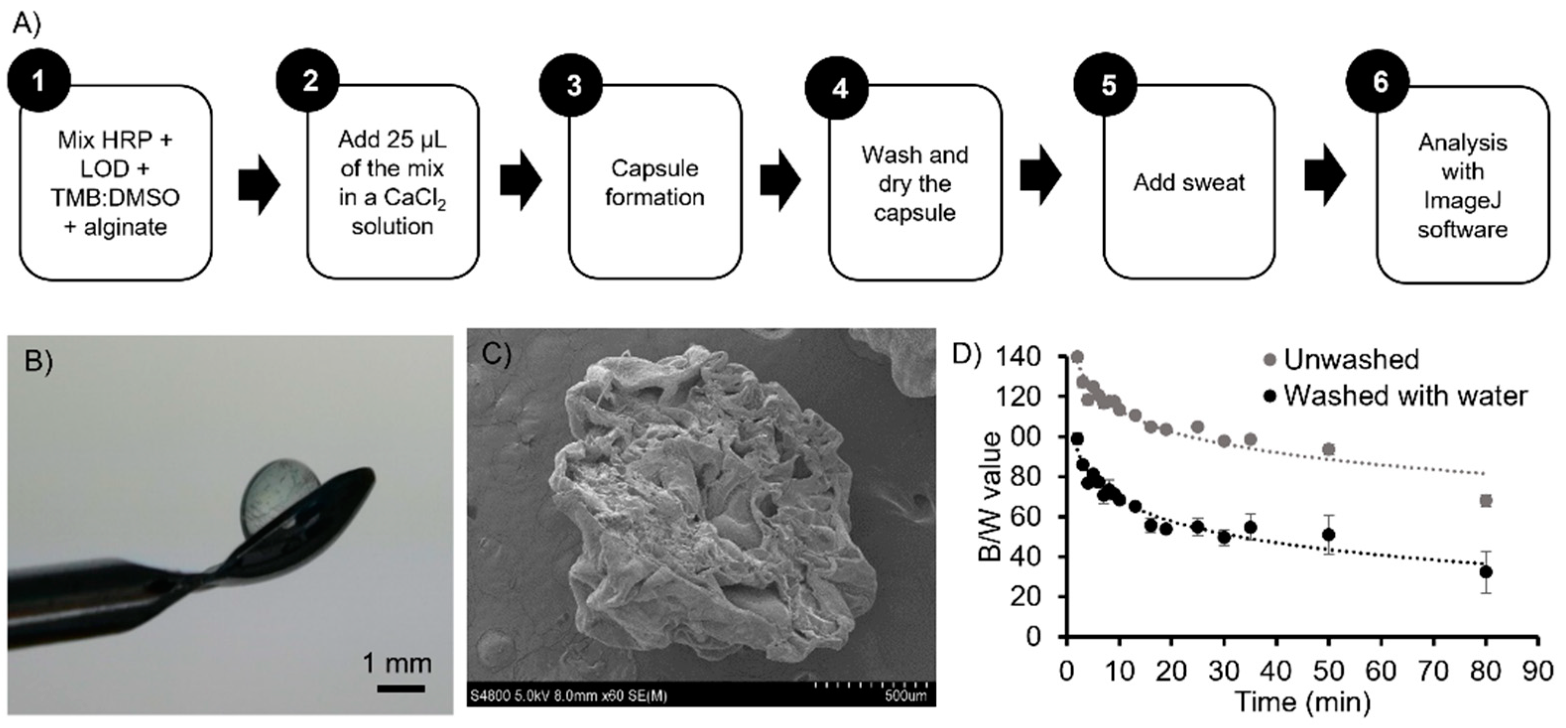 Biosensors 11 00379 g002 550