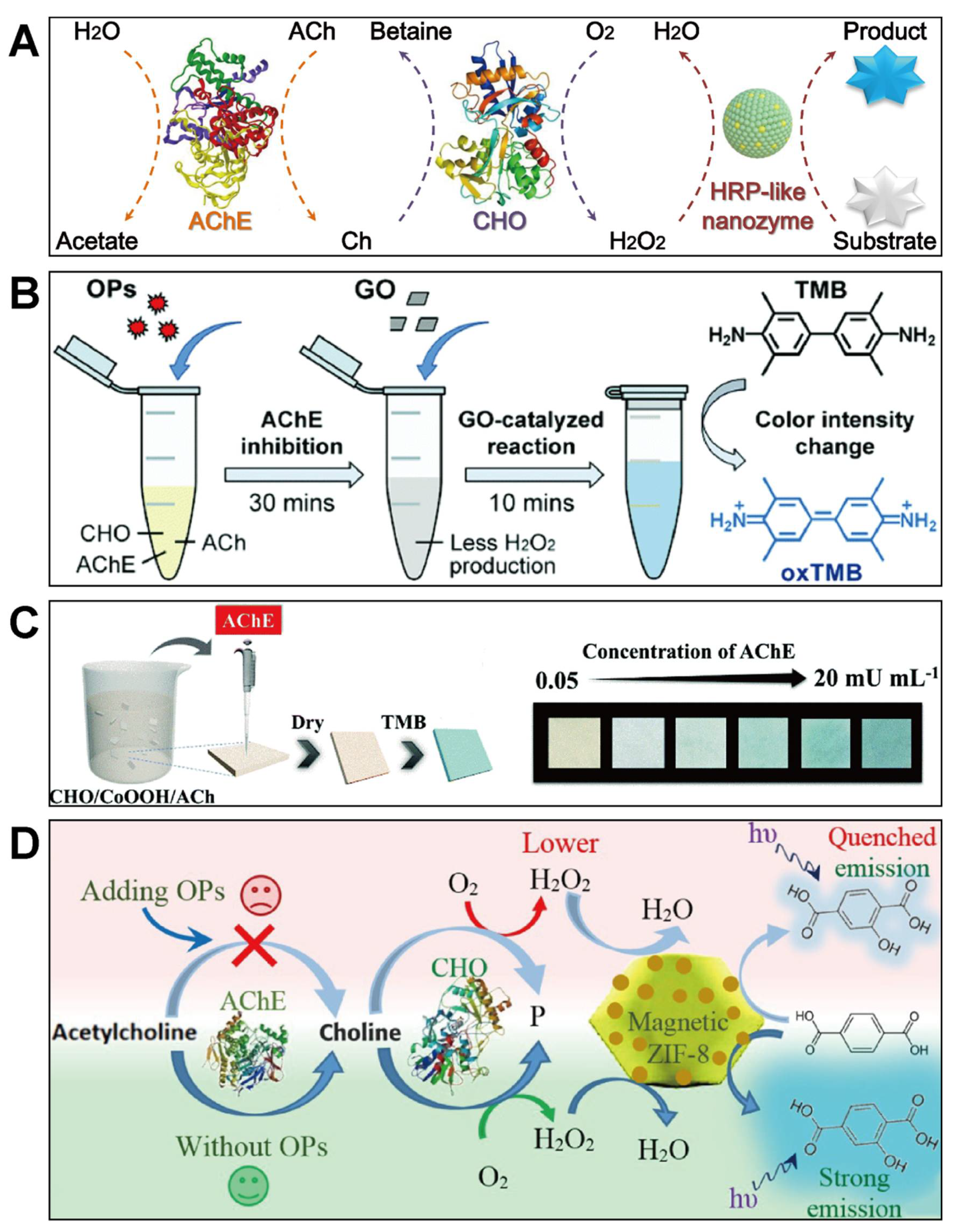 Biosensors 11 00382 g002