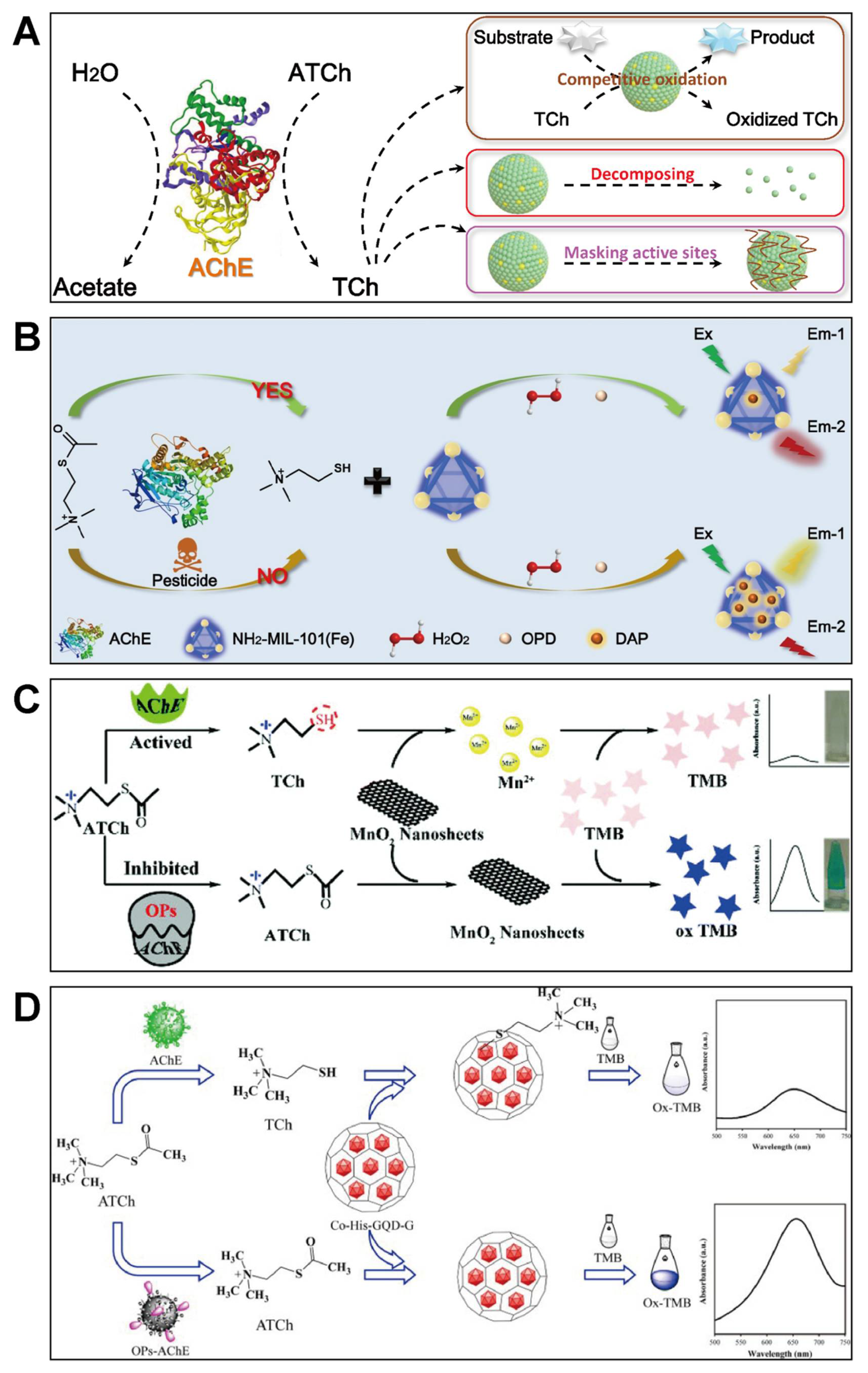 Biosensors 11 00382 g003
