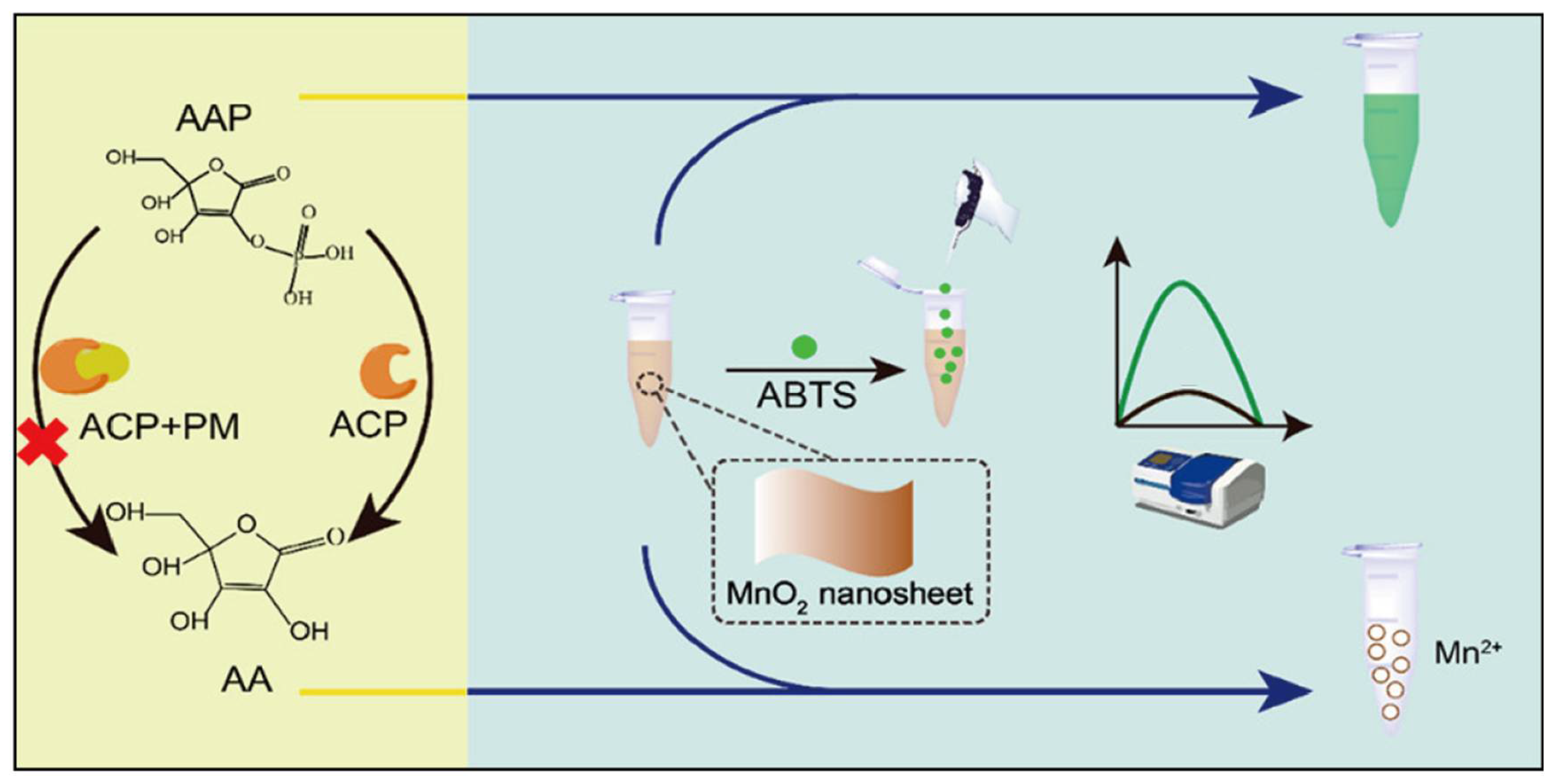 Biosensors 11 00382 g004