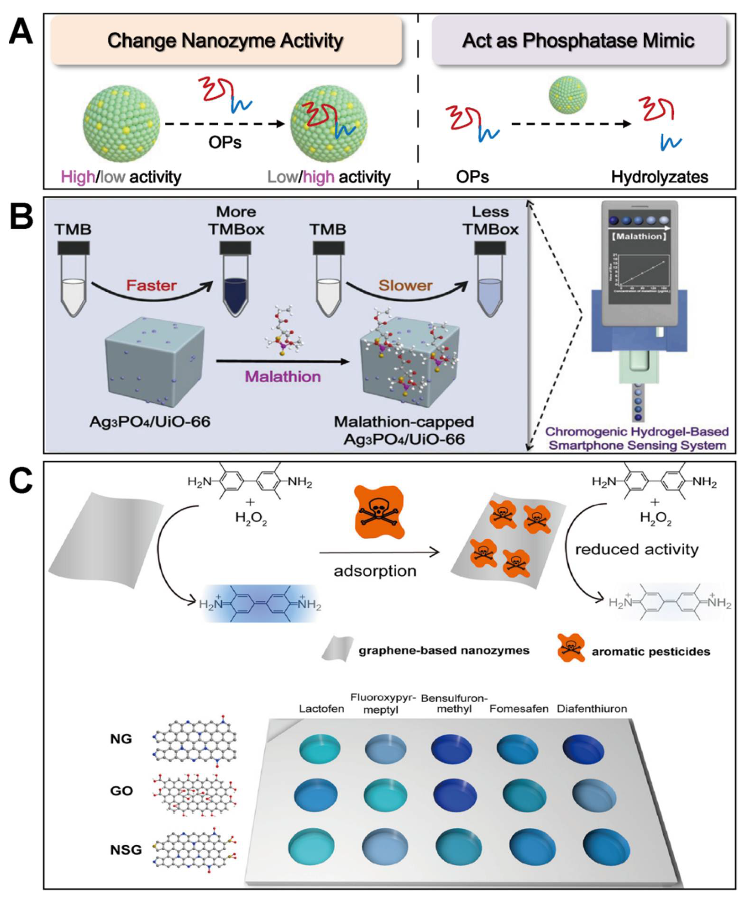 Biosensors 11 00382 g005