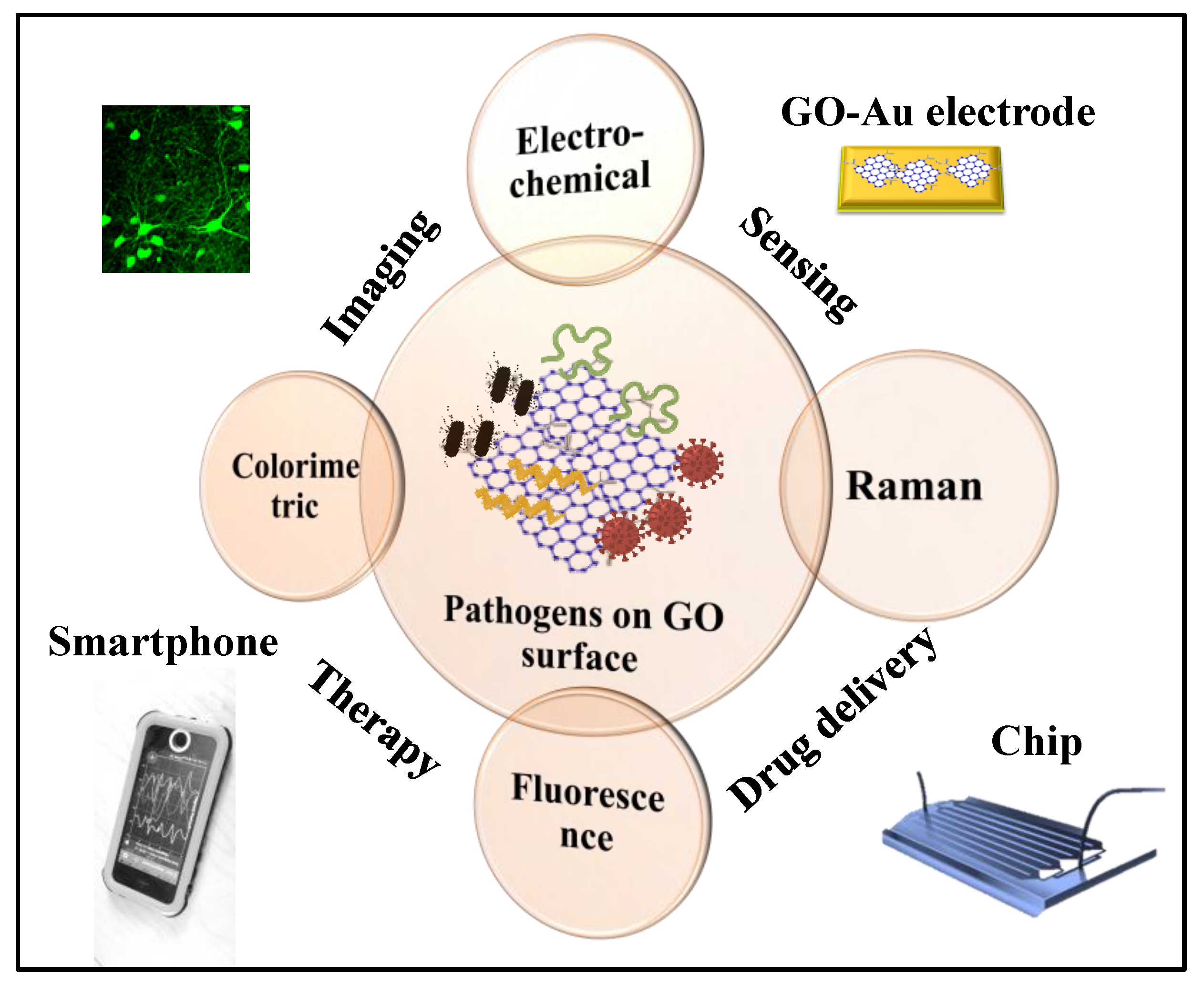 Biosensors 11 00384 g002