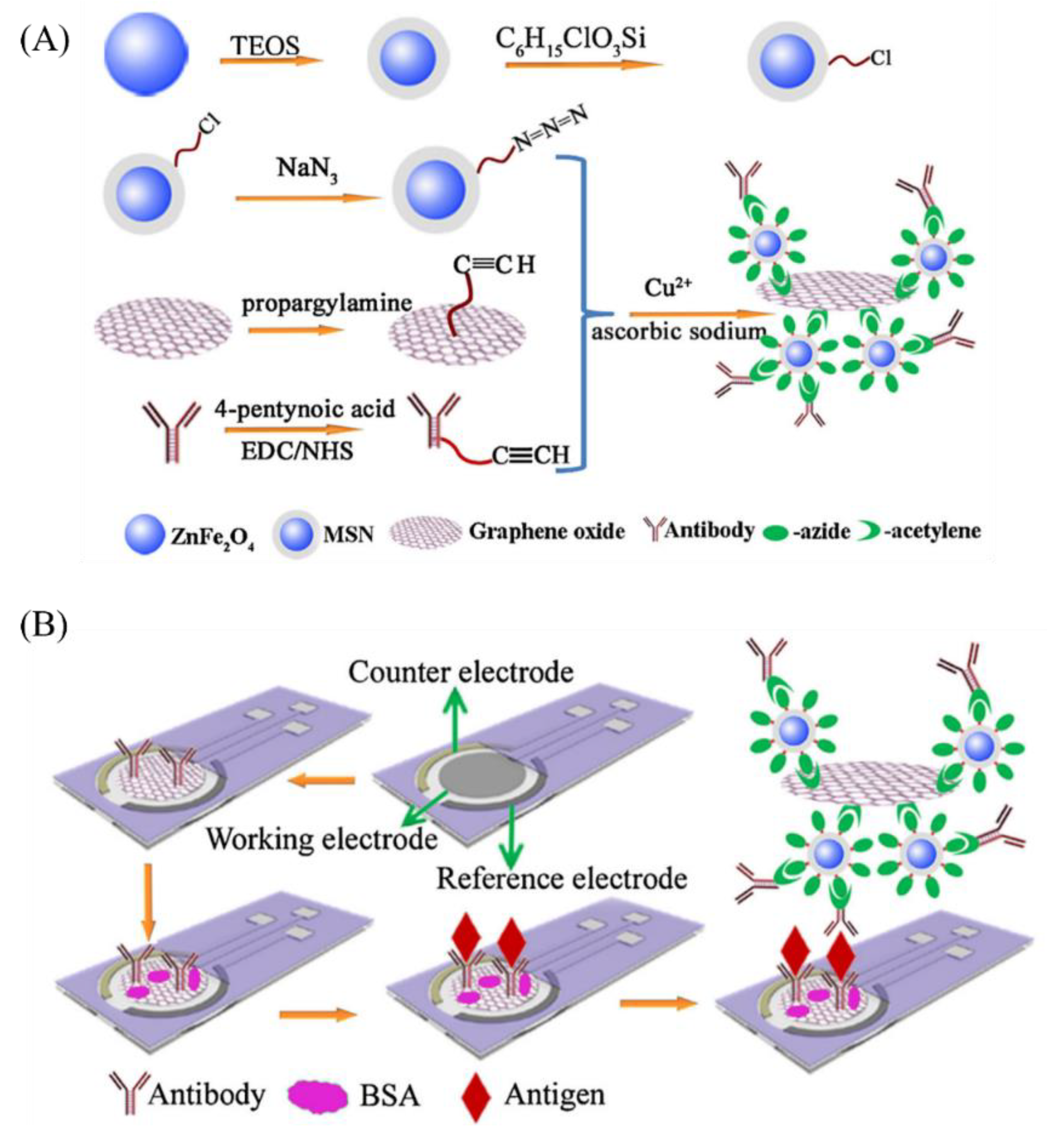 Biosensors 11 00384 g004