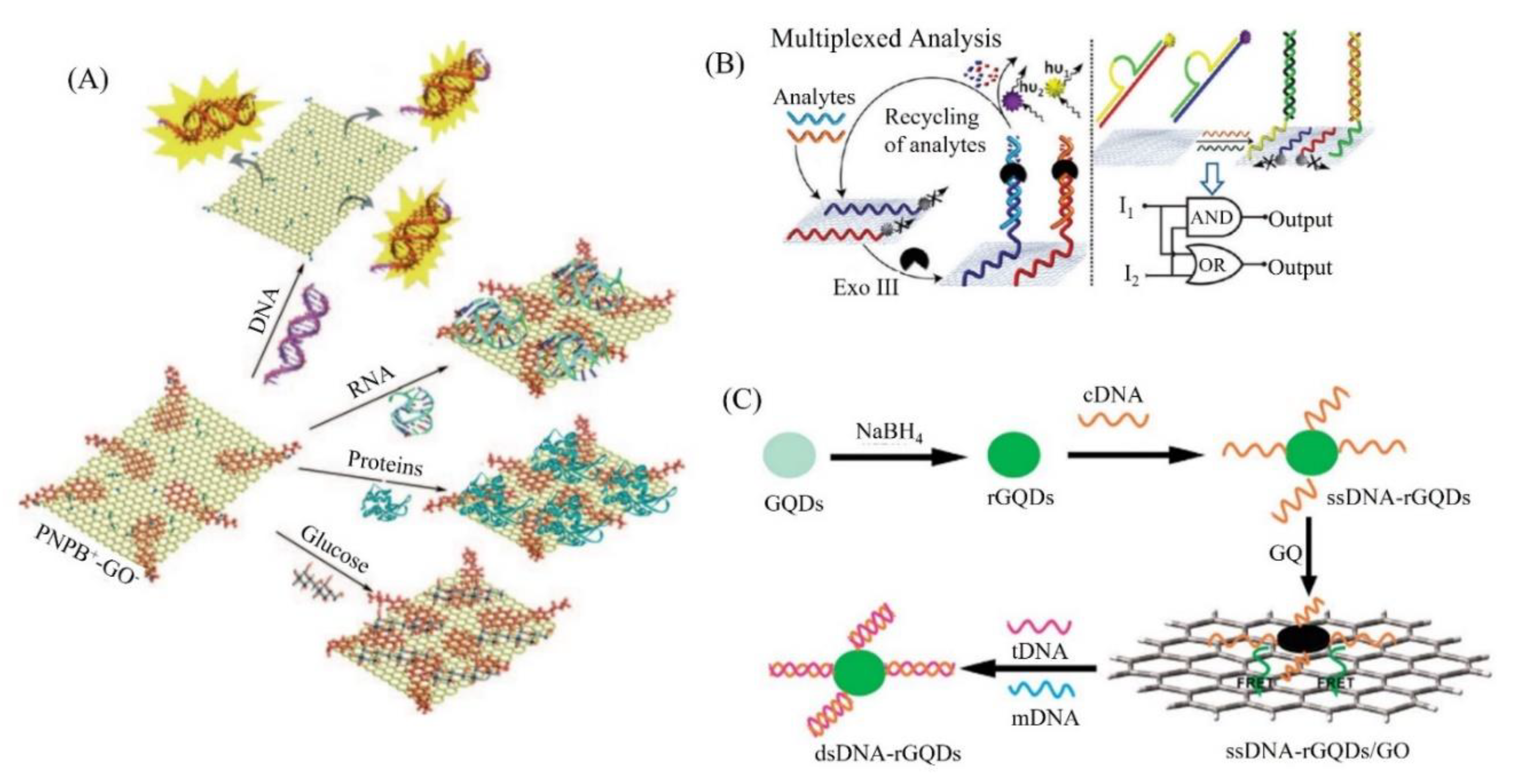 Biosensors 11 00384 g005