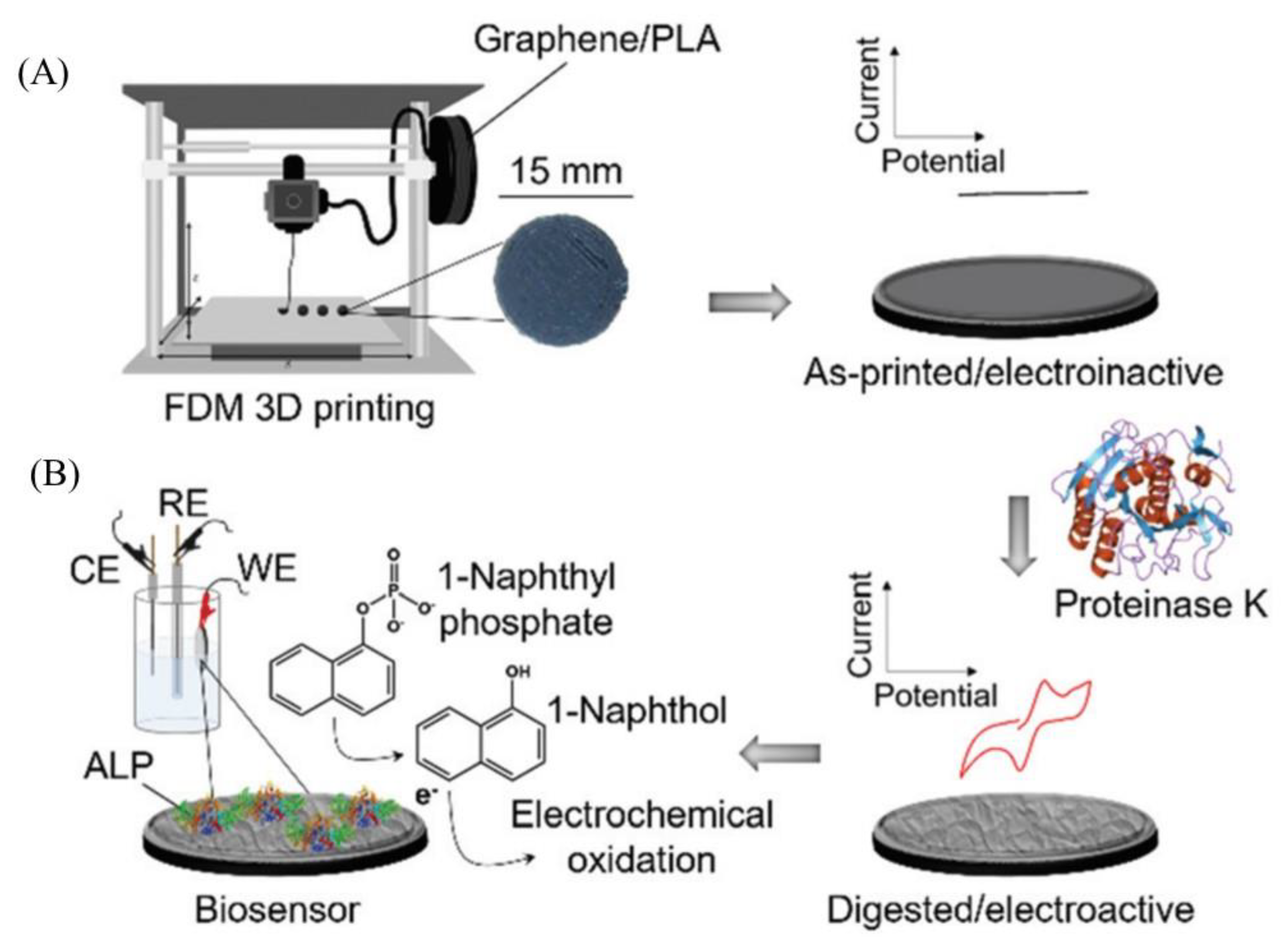 Biosensors 11 00384 g007