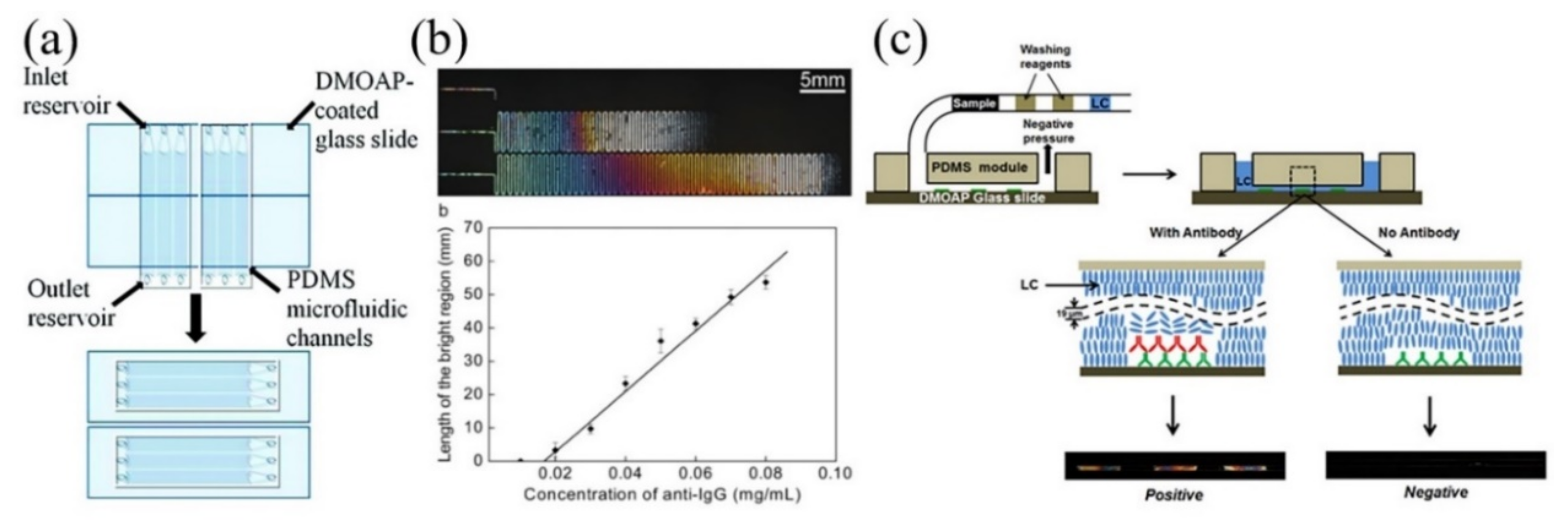 Biosensors 11 00385 g002