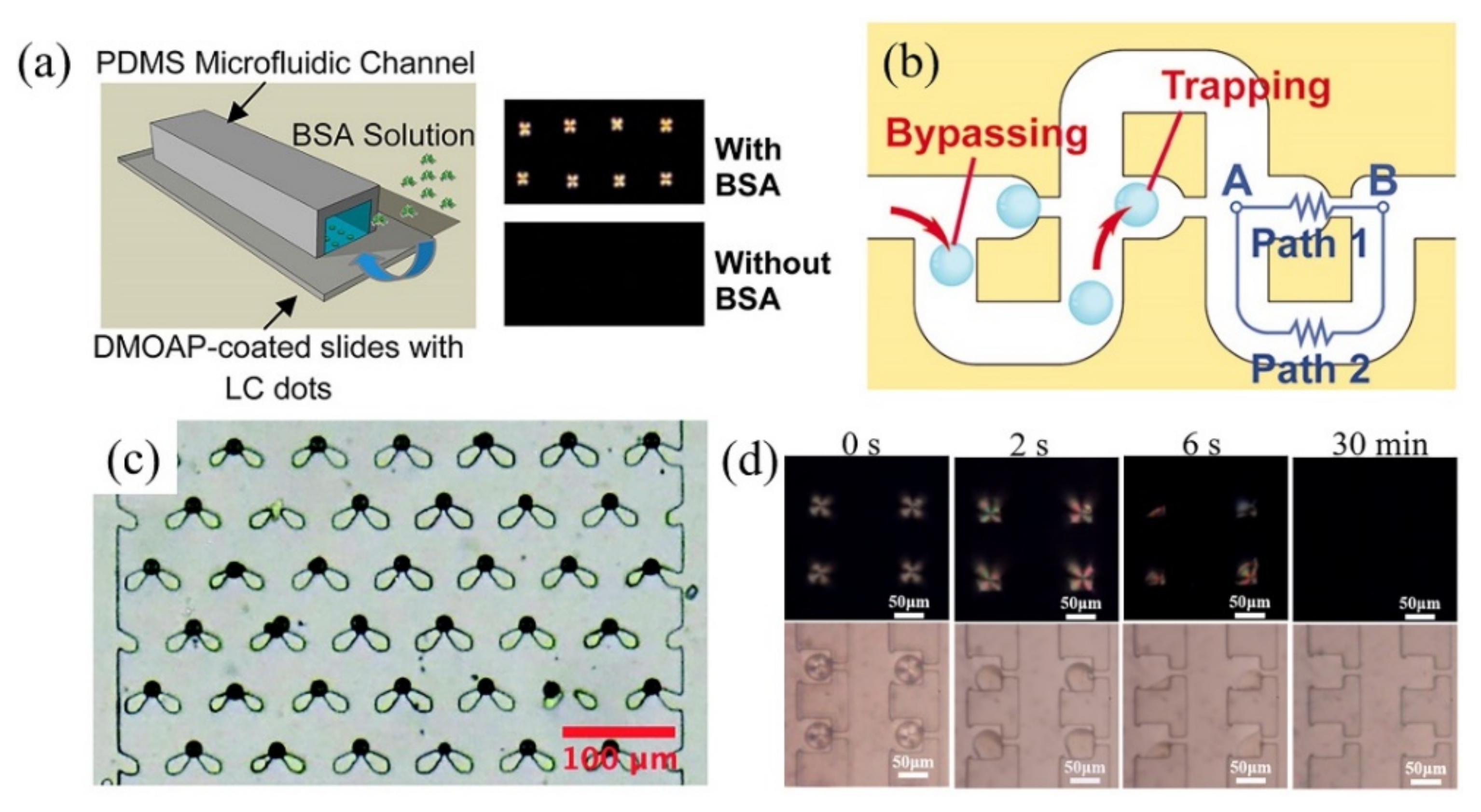 Biosensors 11 00385 g007