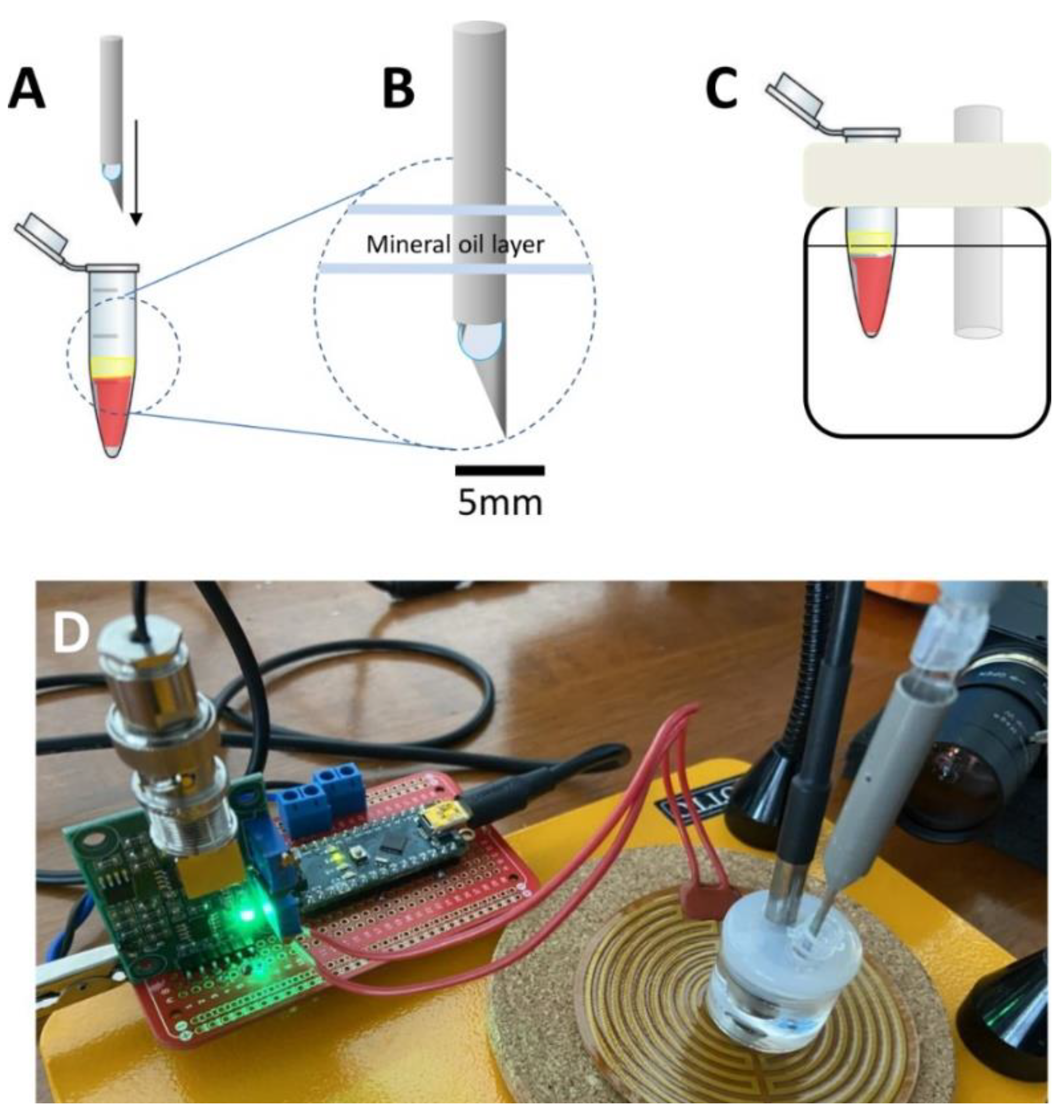 Biosensors 11 00386 g001 550